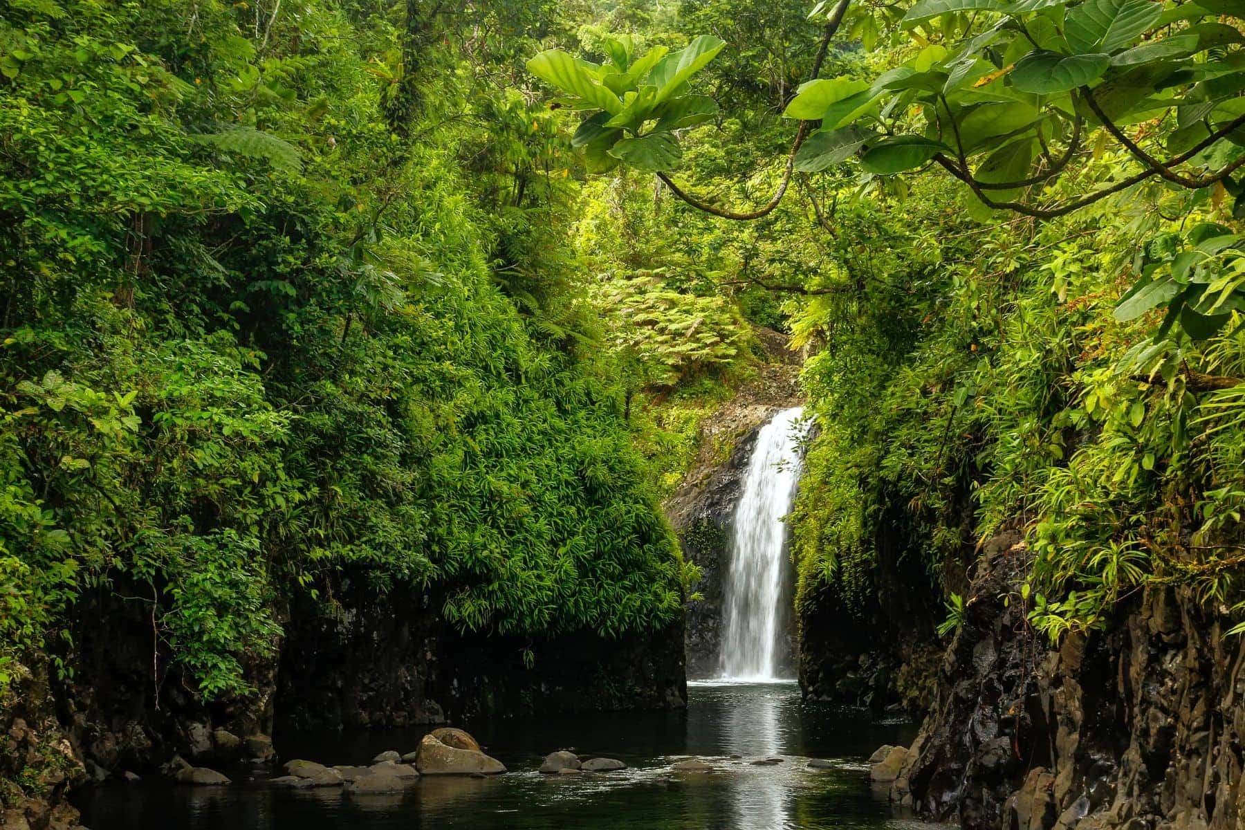 Explore Amazing Waterfalls in Taveuni