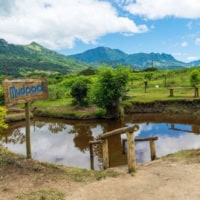 Submerge Yourself In The Sabeto Valley Hot Springs