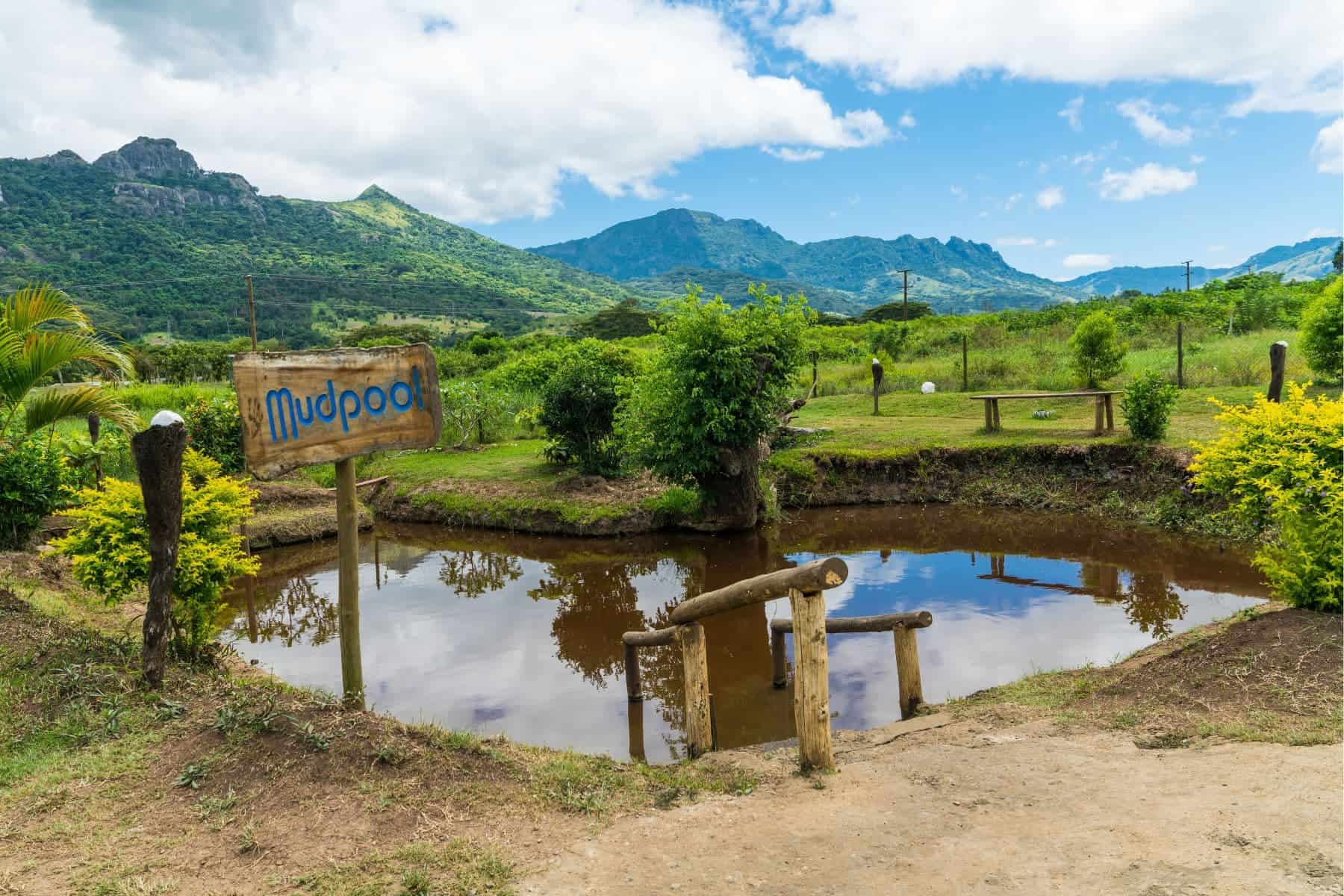 Submerge Yourself In The Sabeto Valley Hot Springs