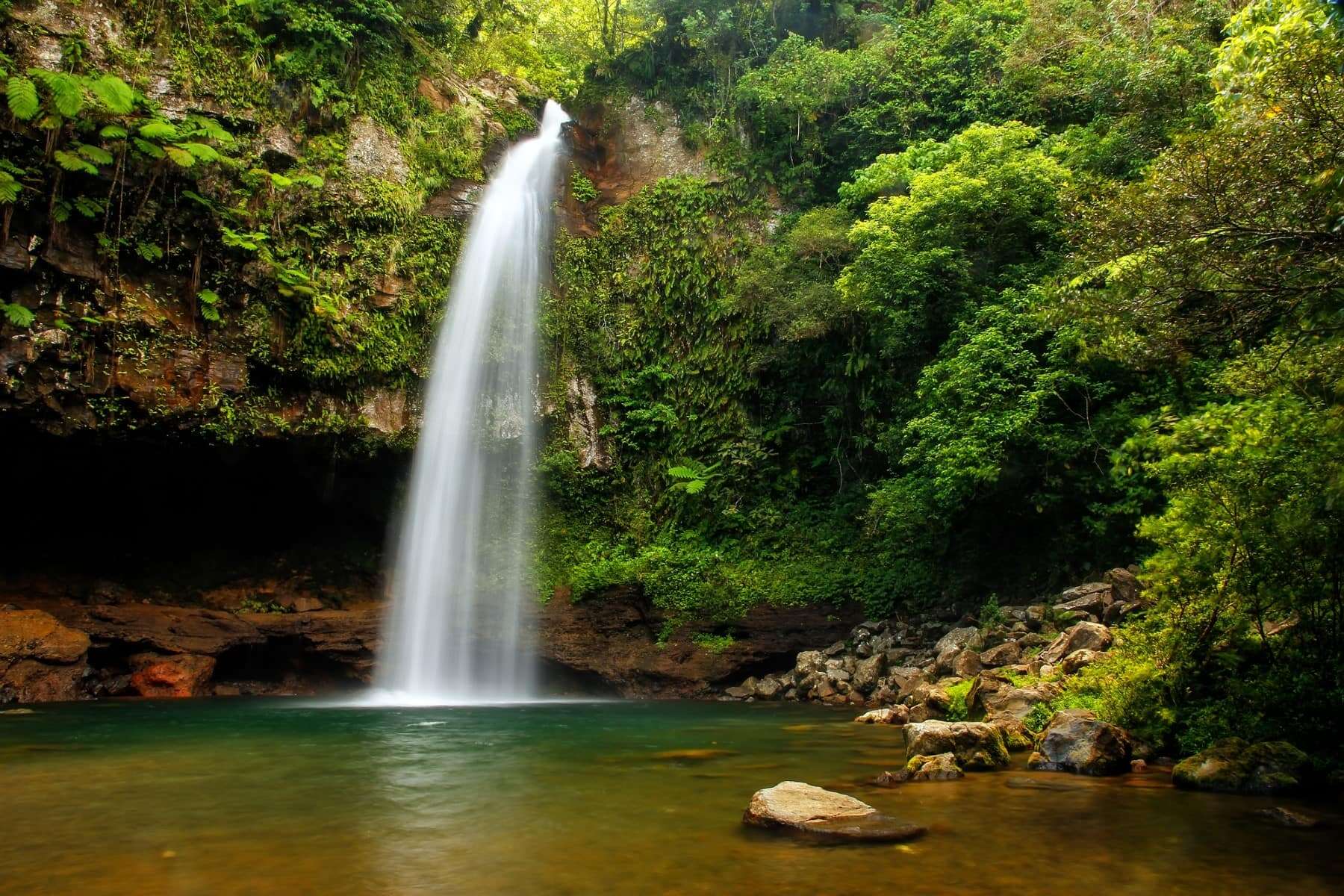 fiji-taveuni-waterfall
