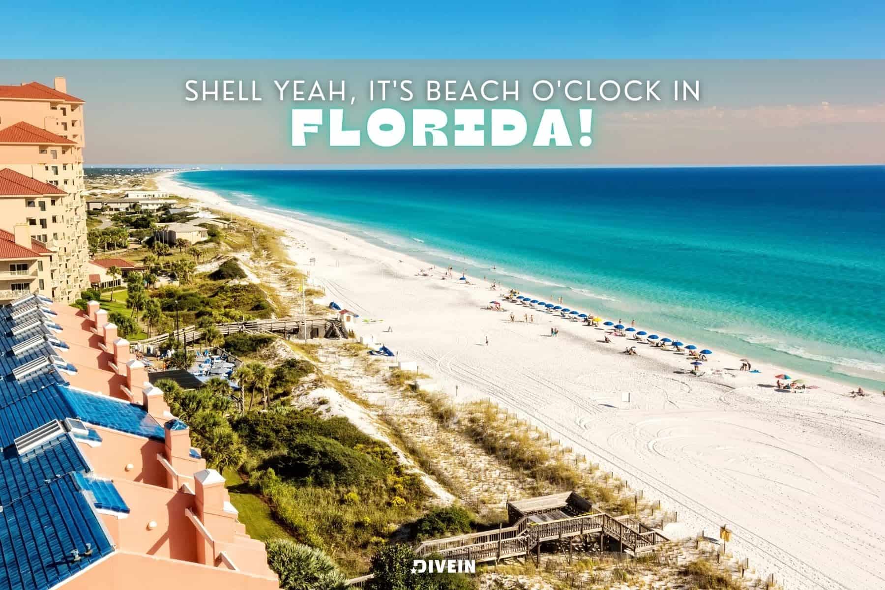 Florida Captions And Quotes For Instagram Beach