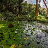 Get Lost In The Garden Of The Sleeping Giant