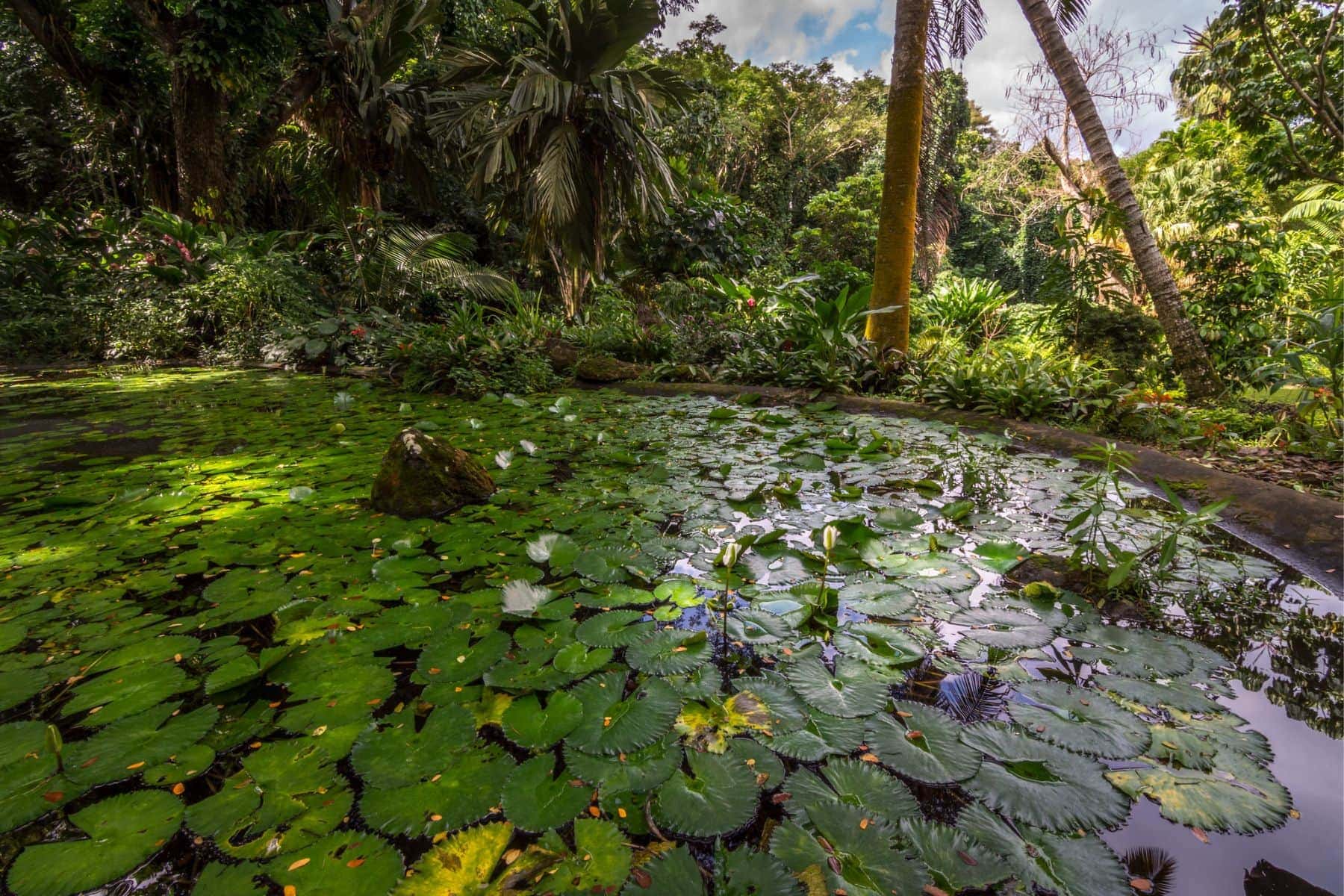 Get Lost In The Garden Of The Sleeping Giant