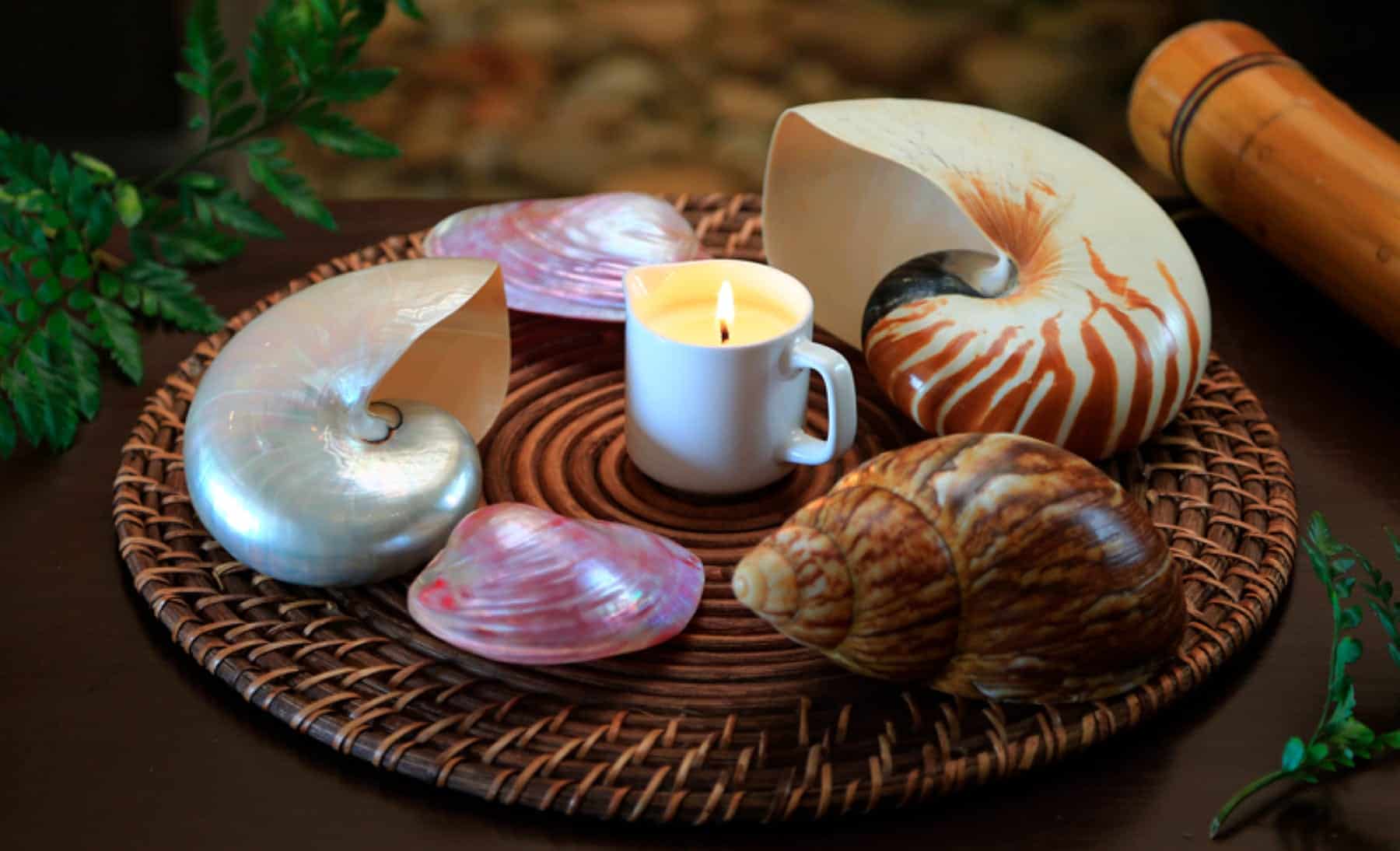 Grand Velas Riviera Nayarit Se Spa Sea Shells