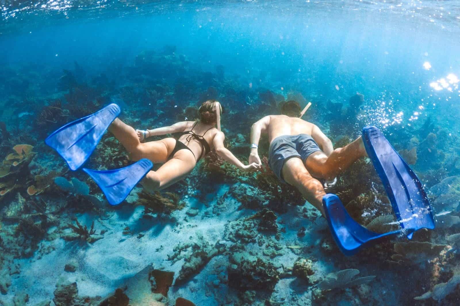 Hard Rock Hotel Riviera Maya Snorkeling Tour