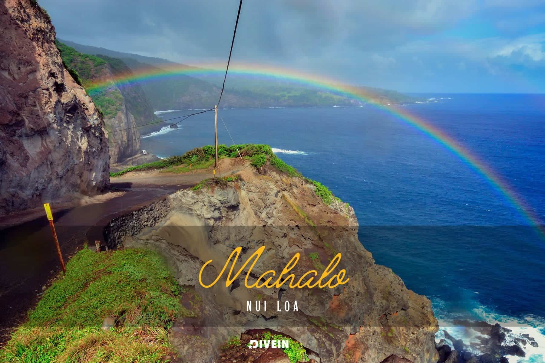 Hawaii Quotes And Captions For Instagram Sayings