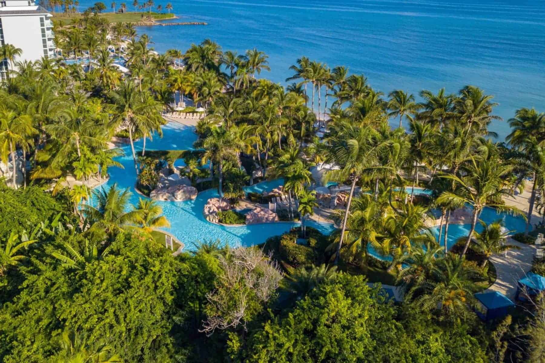hilton-rose-hall-jamaica-trees