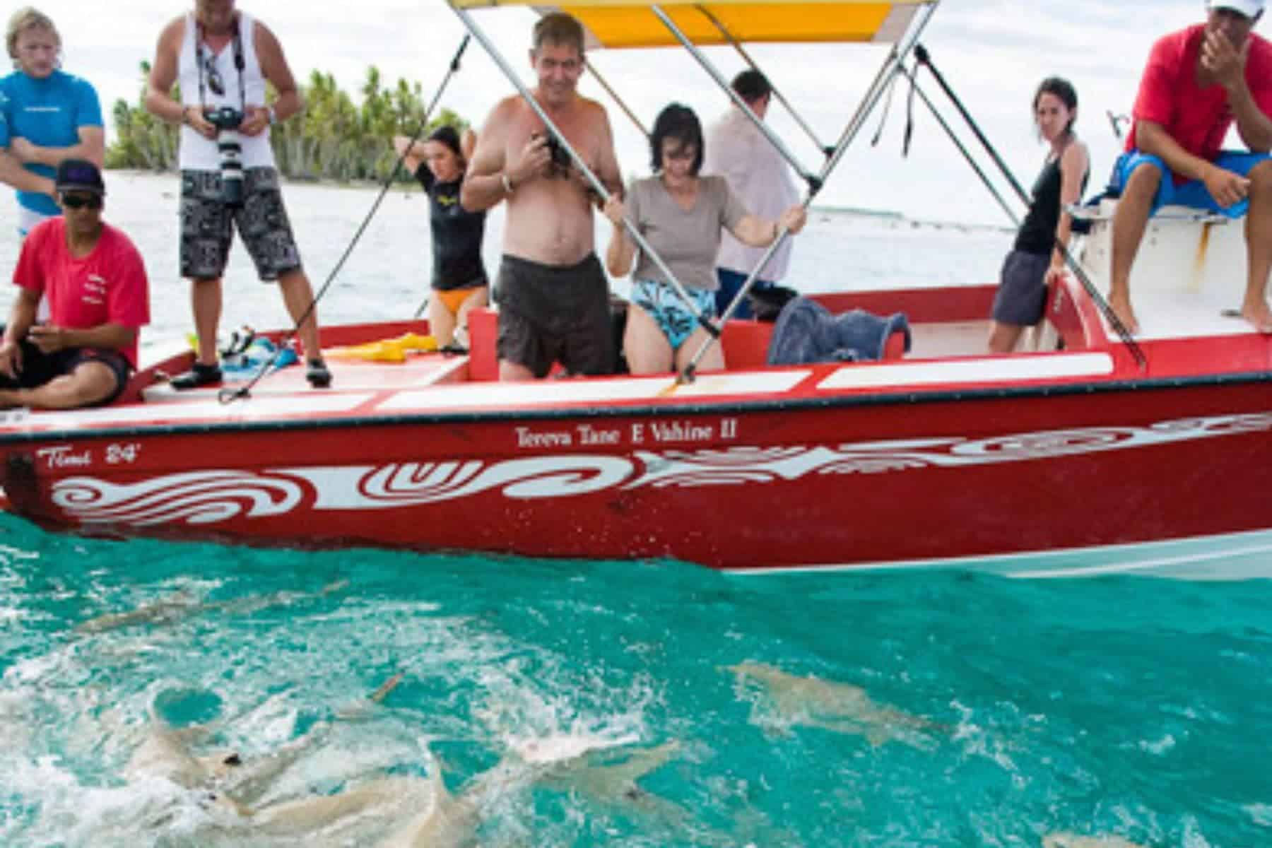 hotel maitai activities