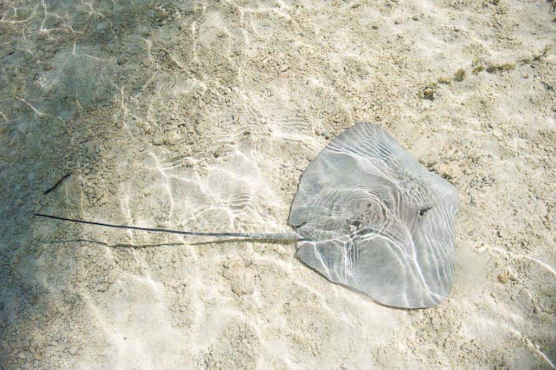 Hotel Maitai Bora Environment