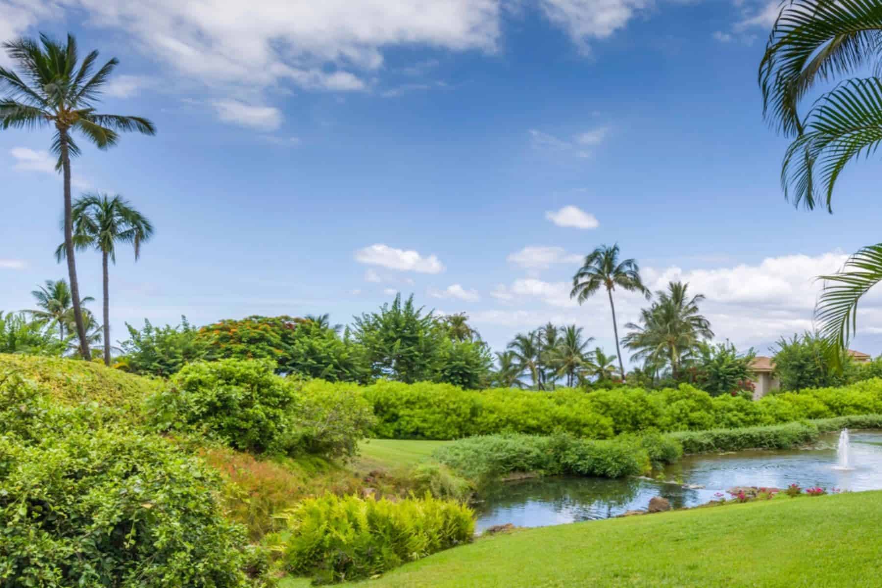 hotel-wailea-maui-nature