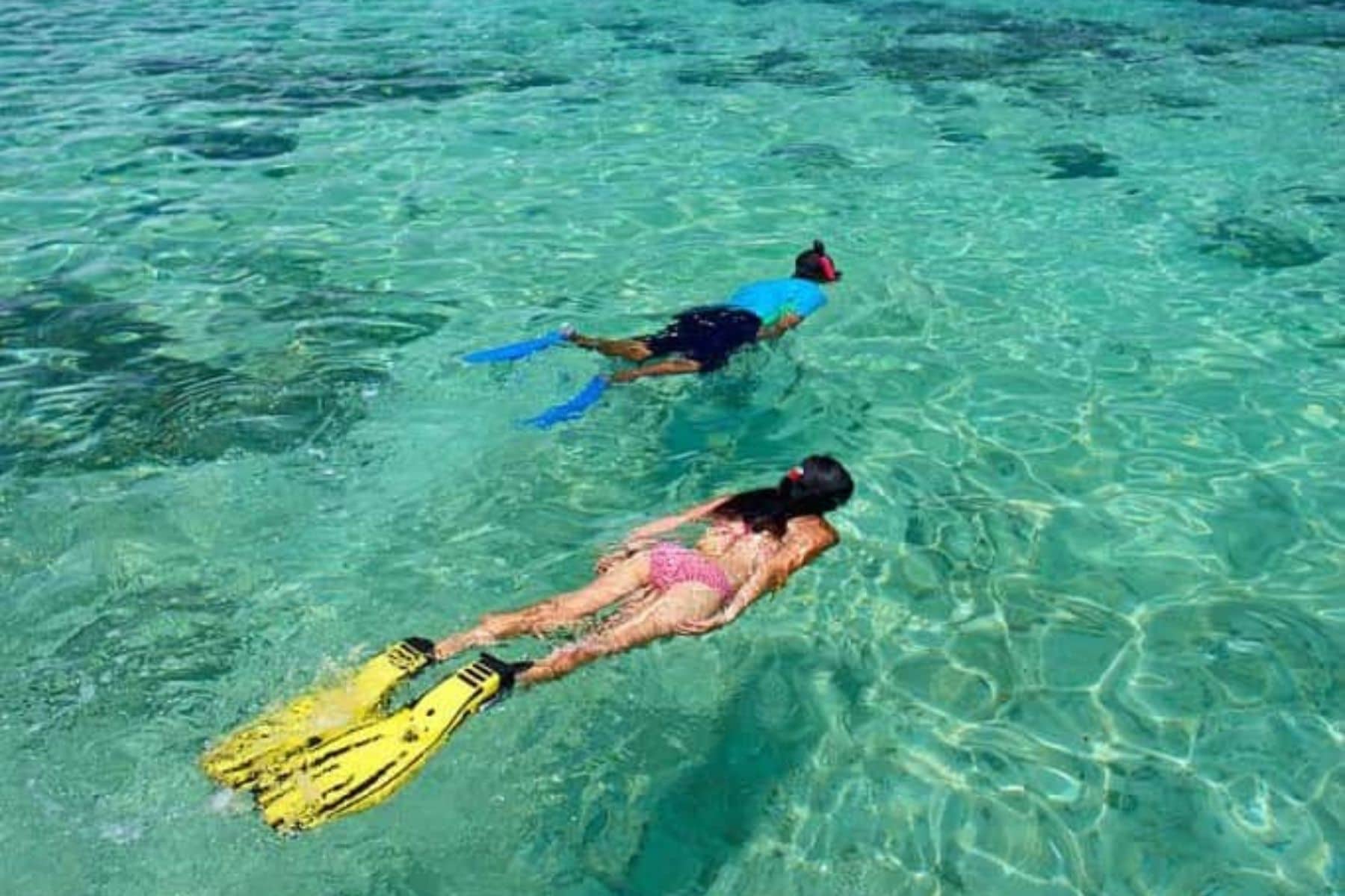 jean-michel-cousteau-resort-snorkel