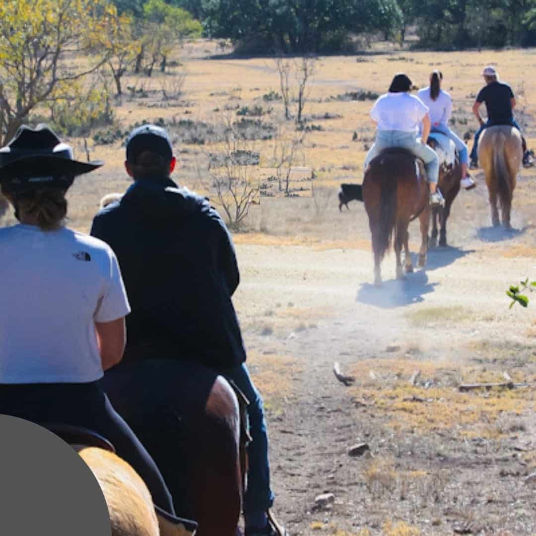Jl Bar Ranch Horseback Riding