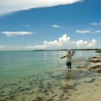 Join A Fishing Charter