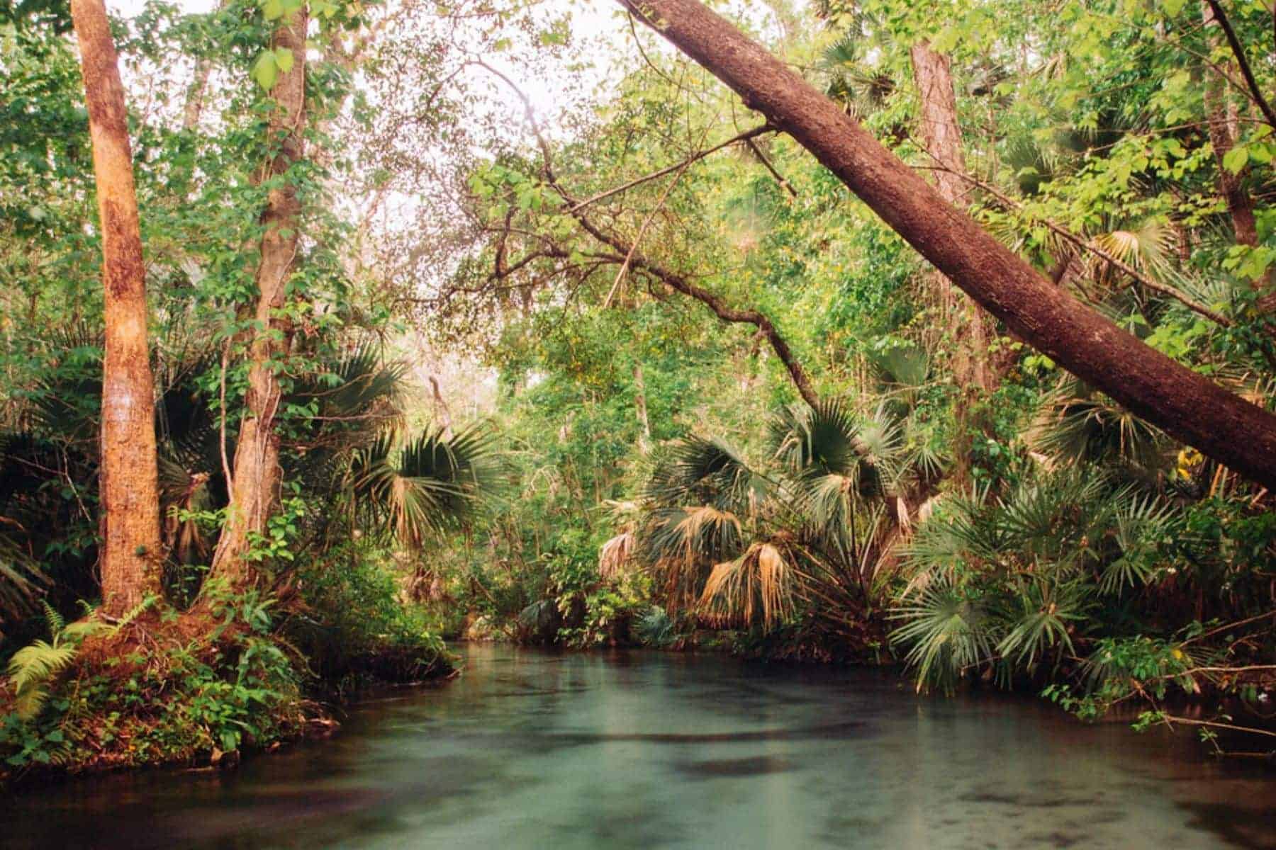 Kings Landing Emerald Cut River