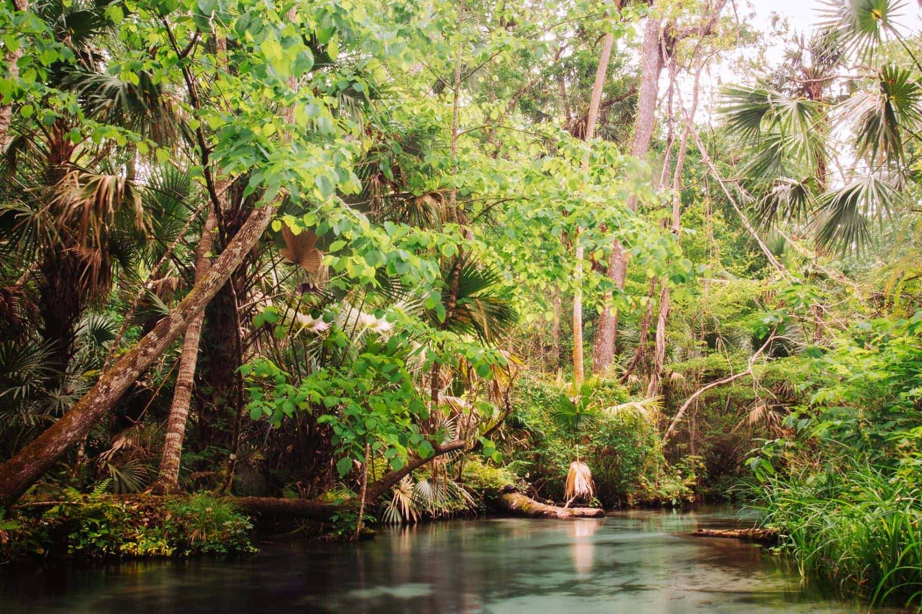 Kings Landing Emerald Cut