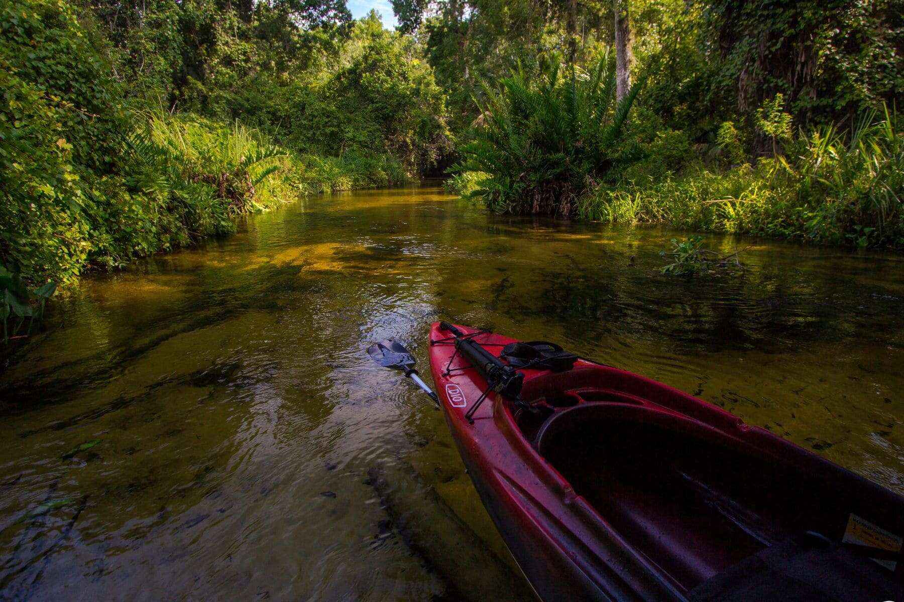 Kings Landing Kelly Park