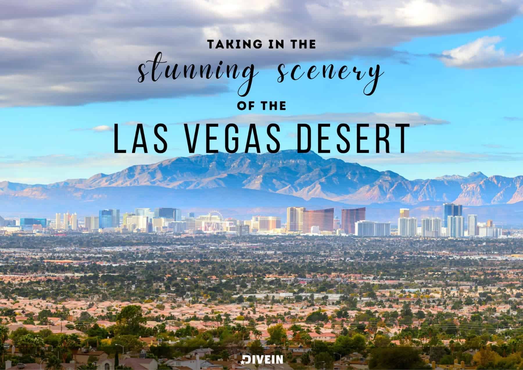 Taking in the stunning scenery of the Las Vegas desert.