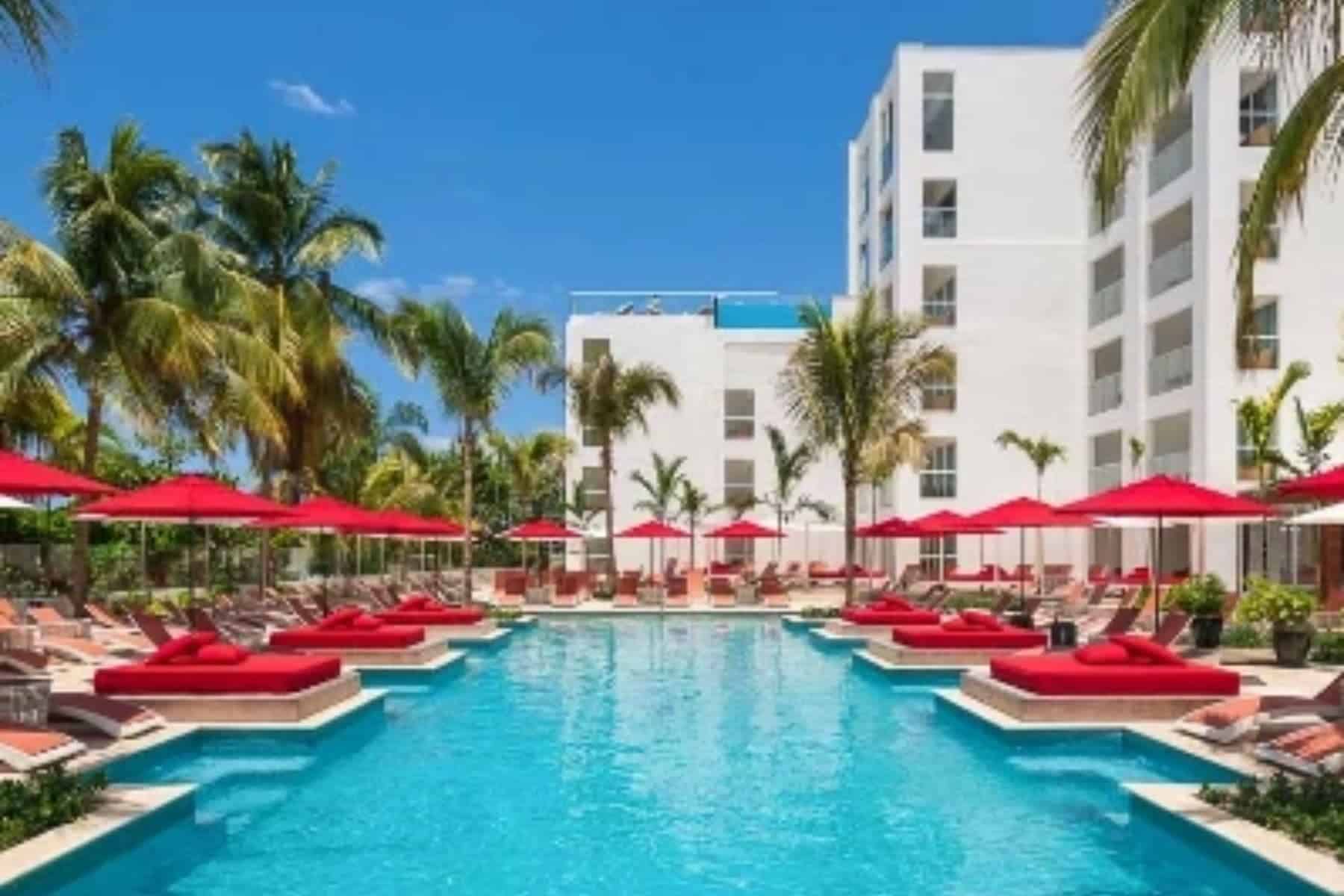 Learn Play Chill At Shotel