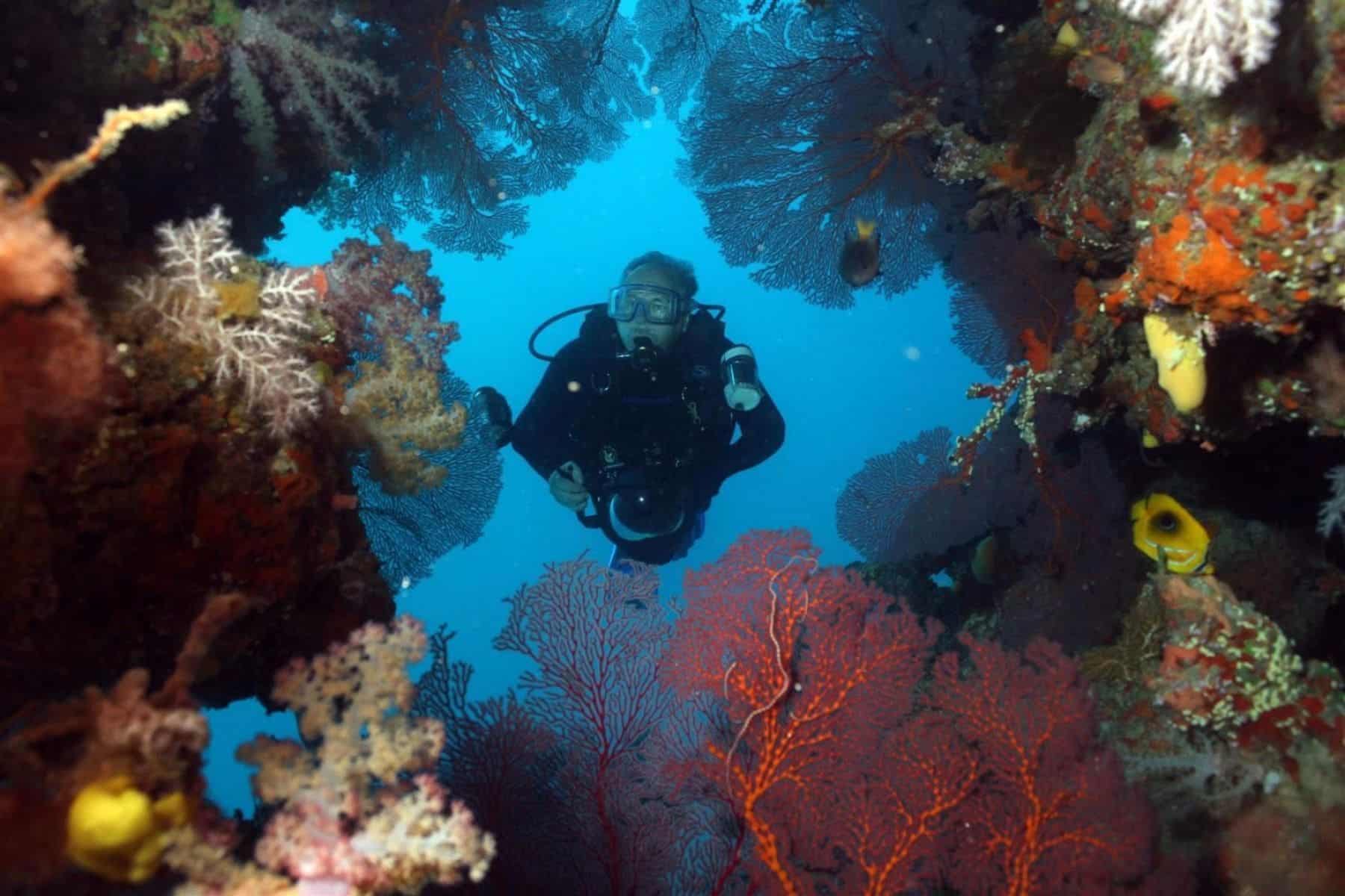 likuliku-lagoon-resort-dive