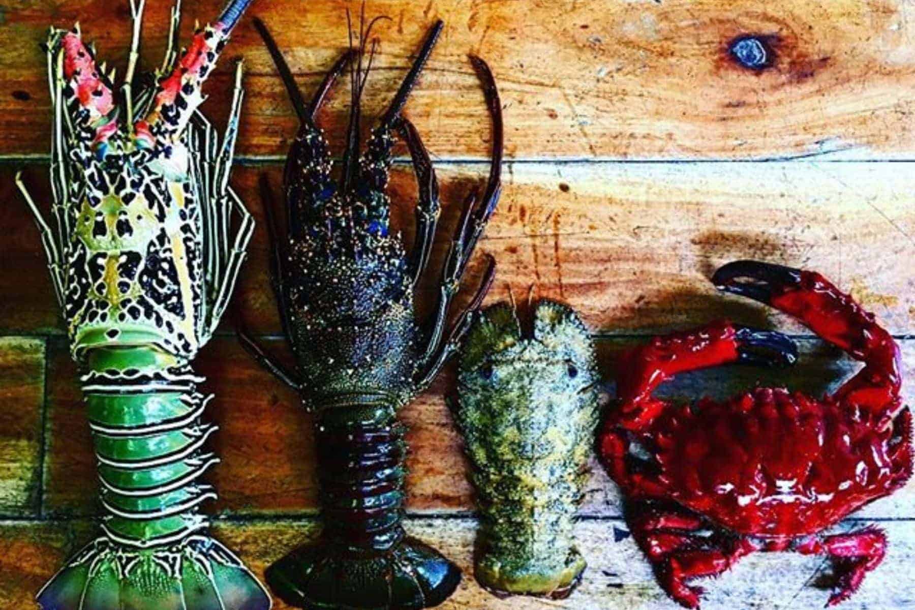 likuliku-lagoon-resort-lobster