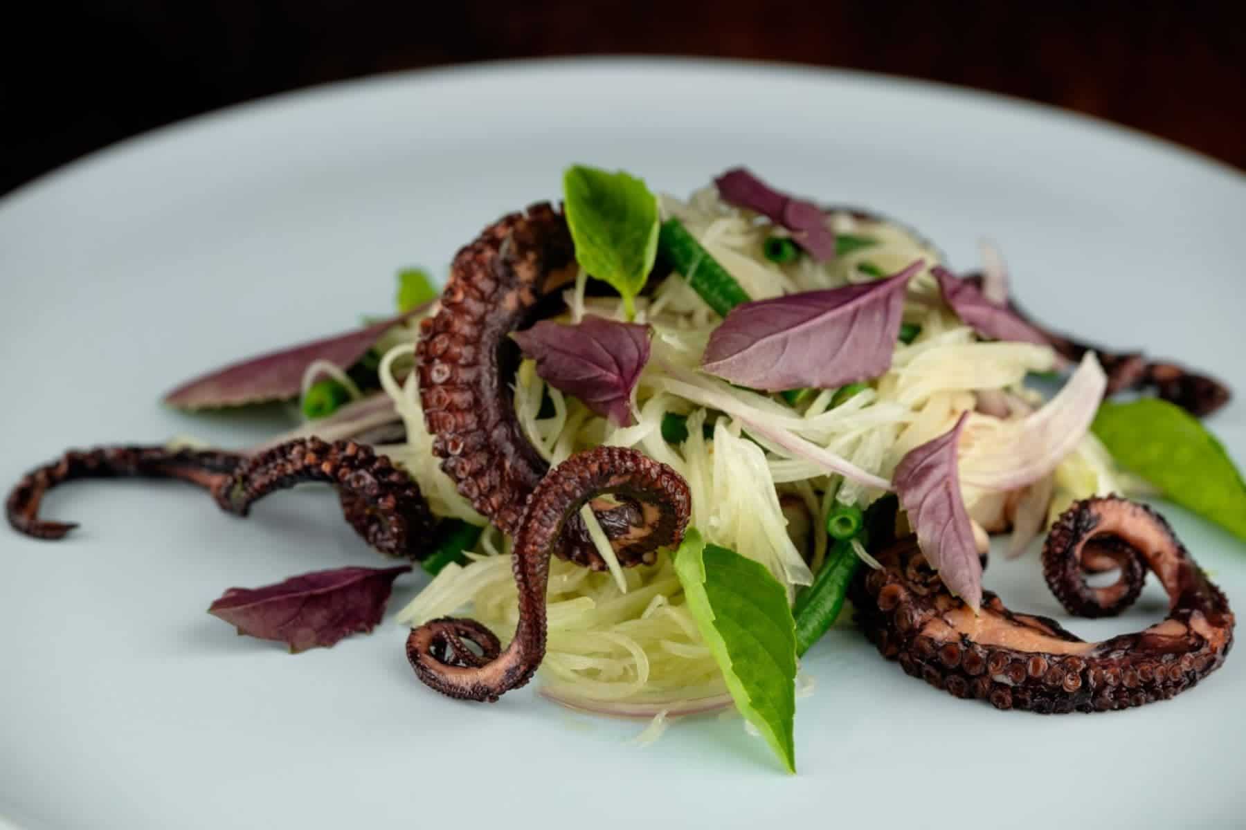 likuliku-lagoon-resort-octopus