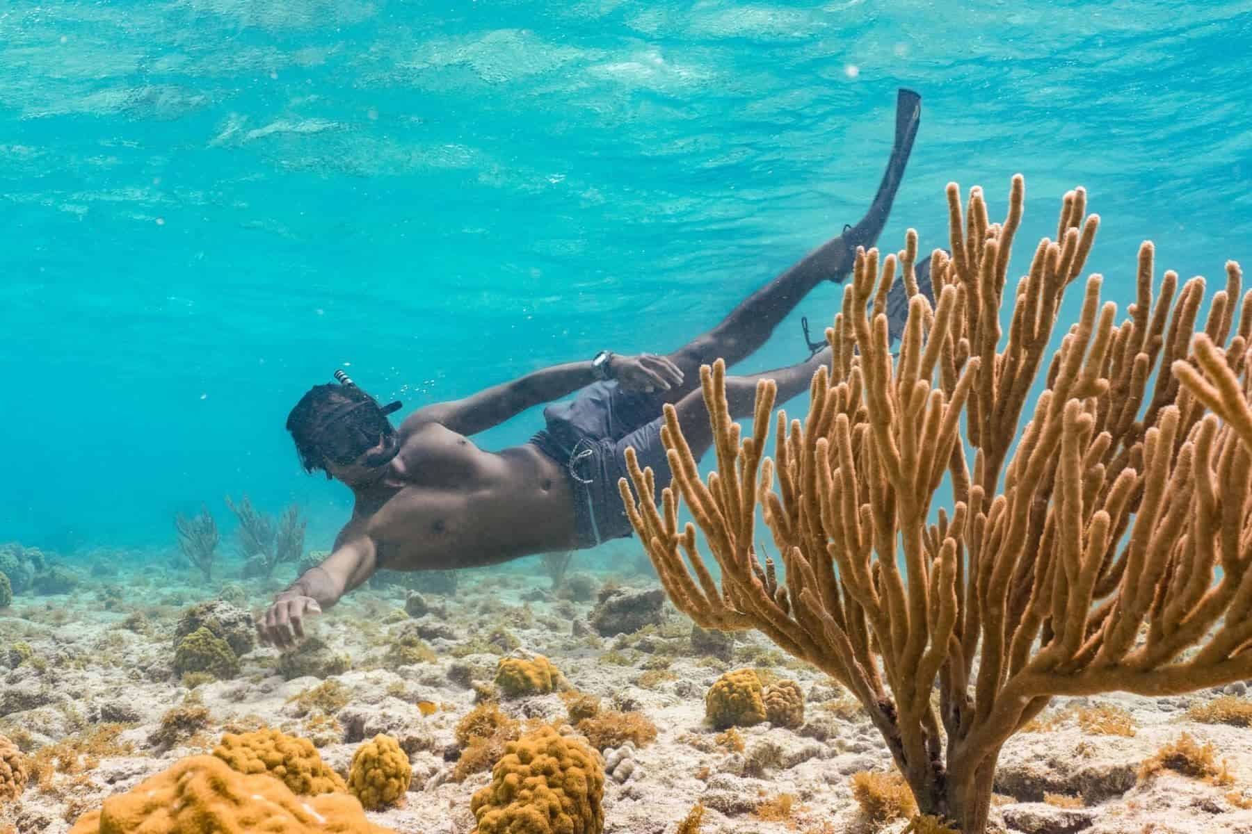 mangel-halto-beach-dive