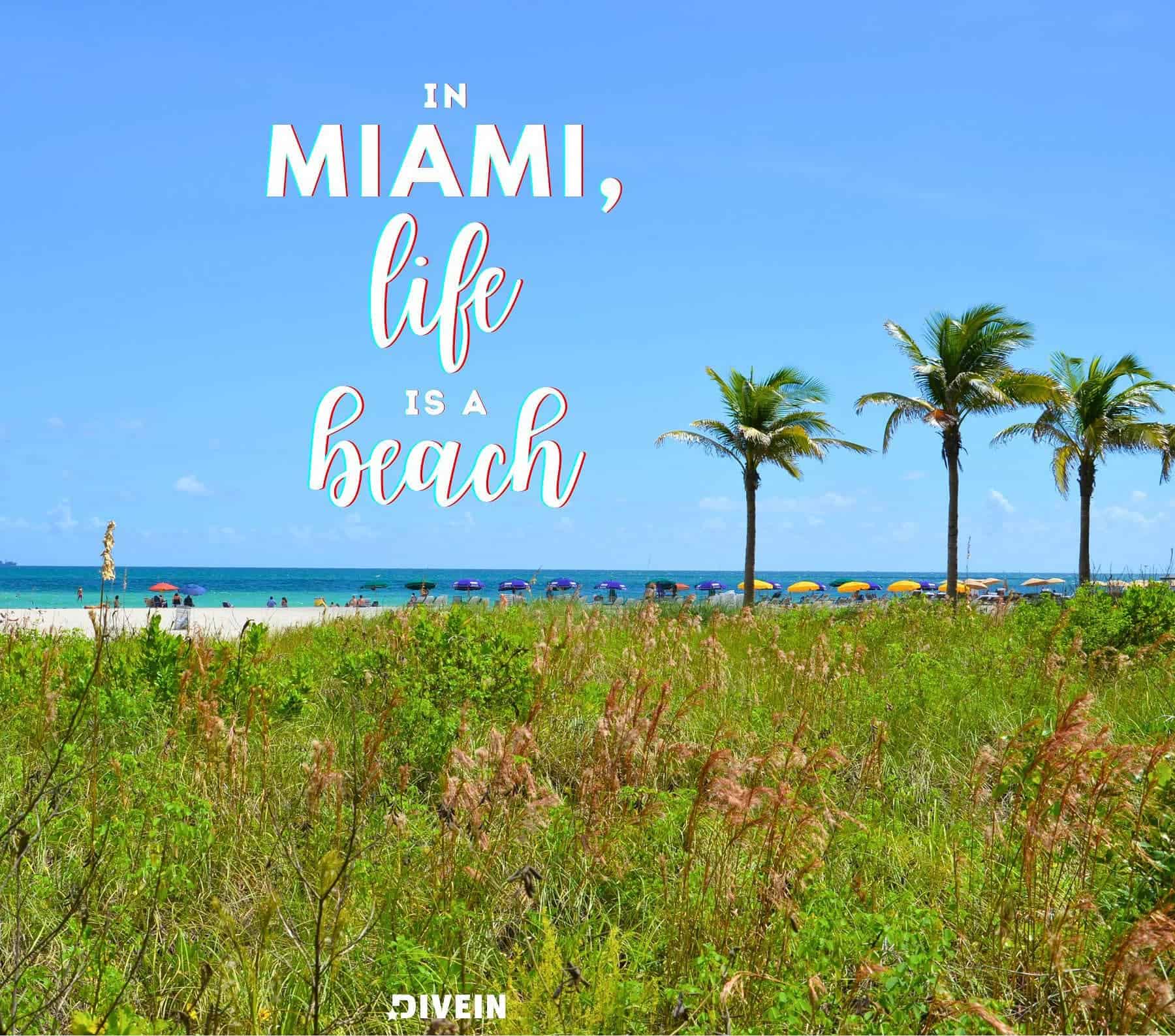 Miami Puns Captions. In Miami, life is a beach.