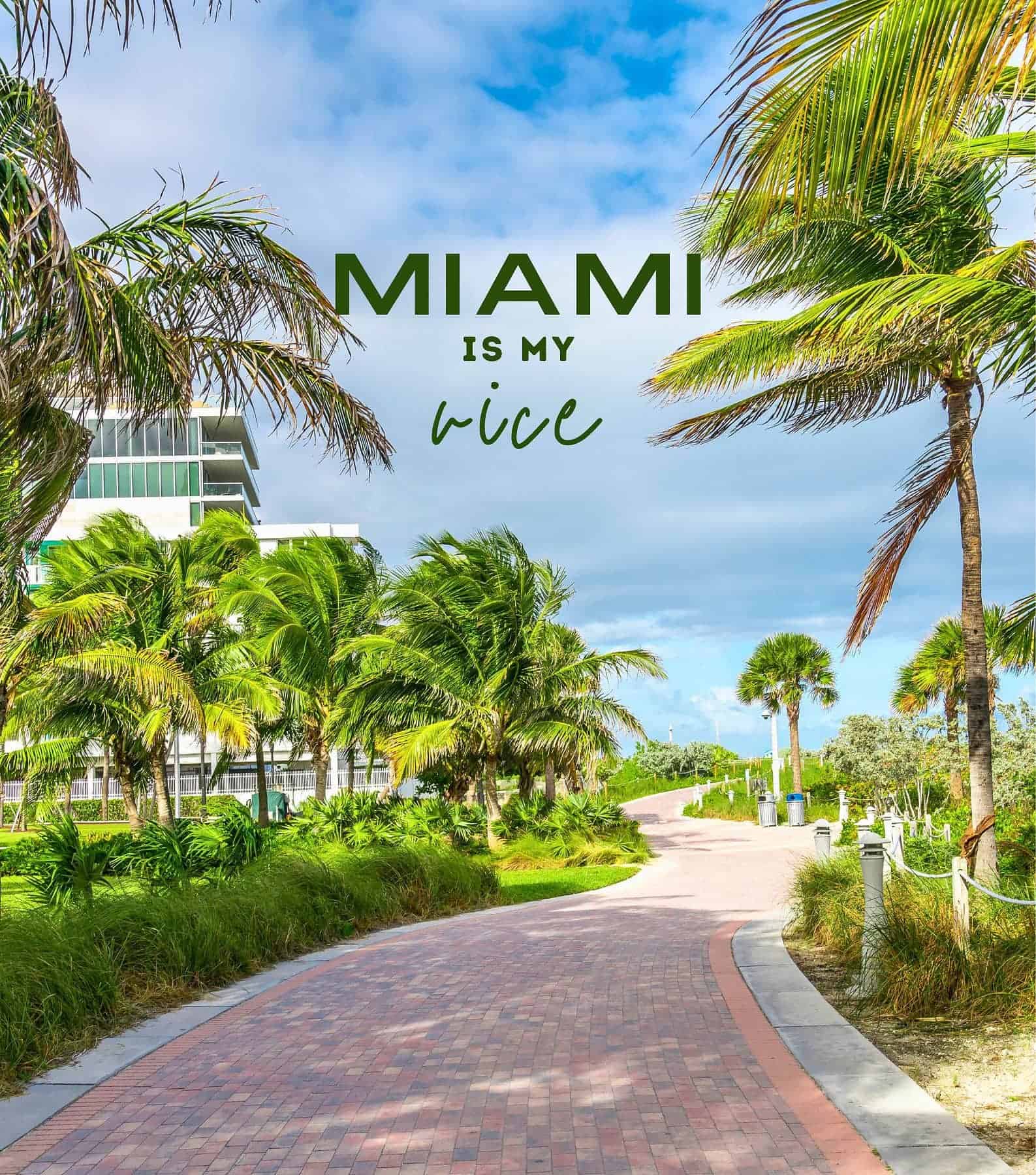 Miami Puns Captions. Miami is my vice.