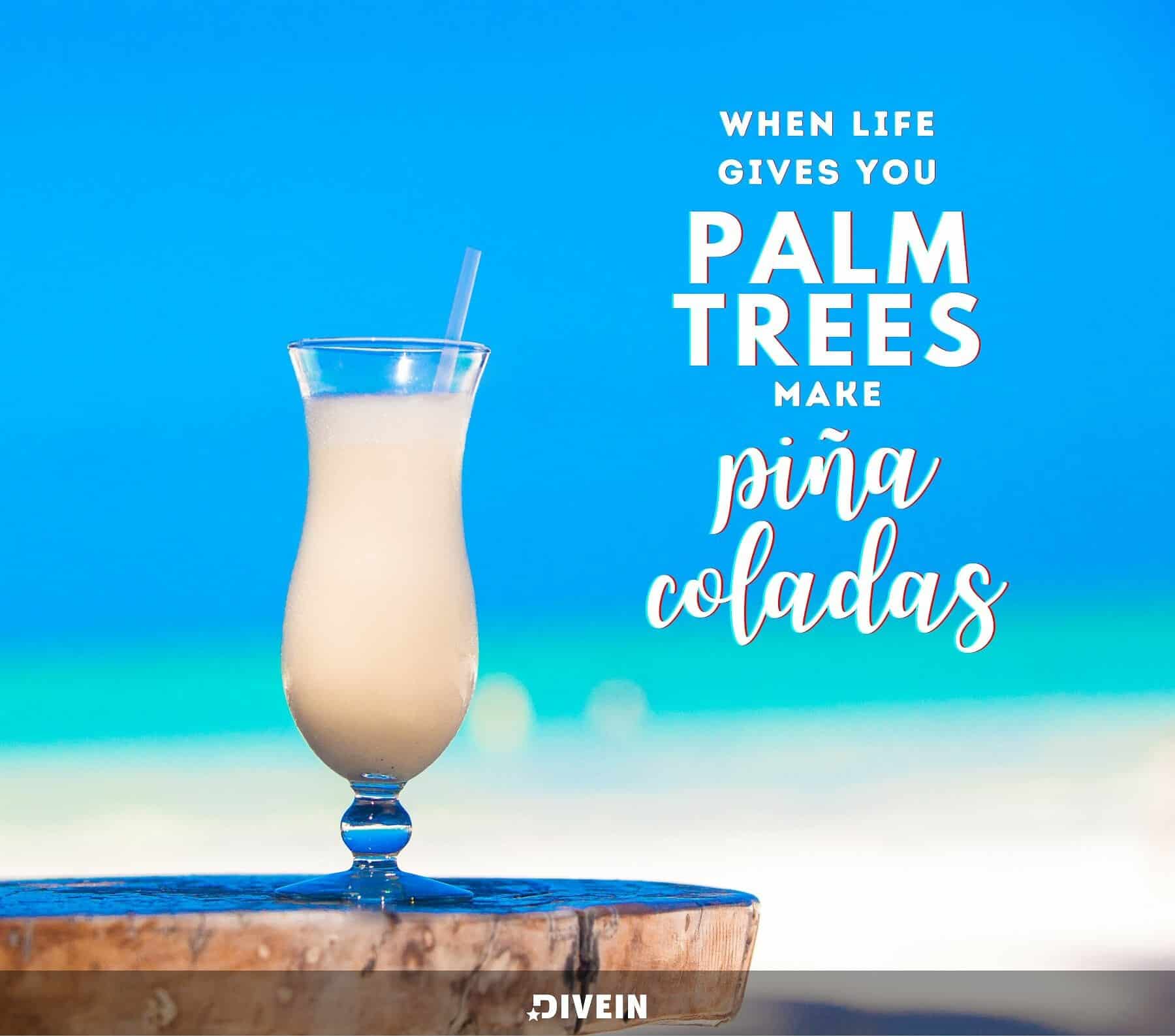 Miami Photo Captions. When life gives you palm trees, make pina coladas.