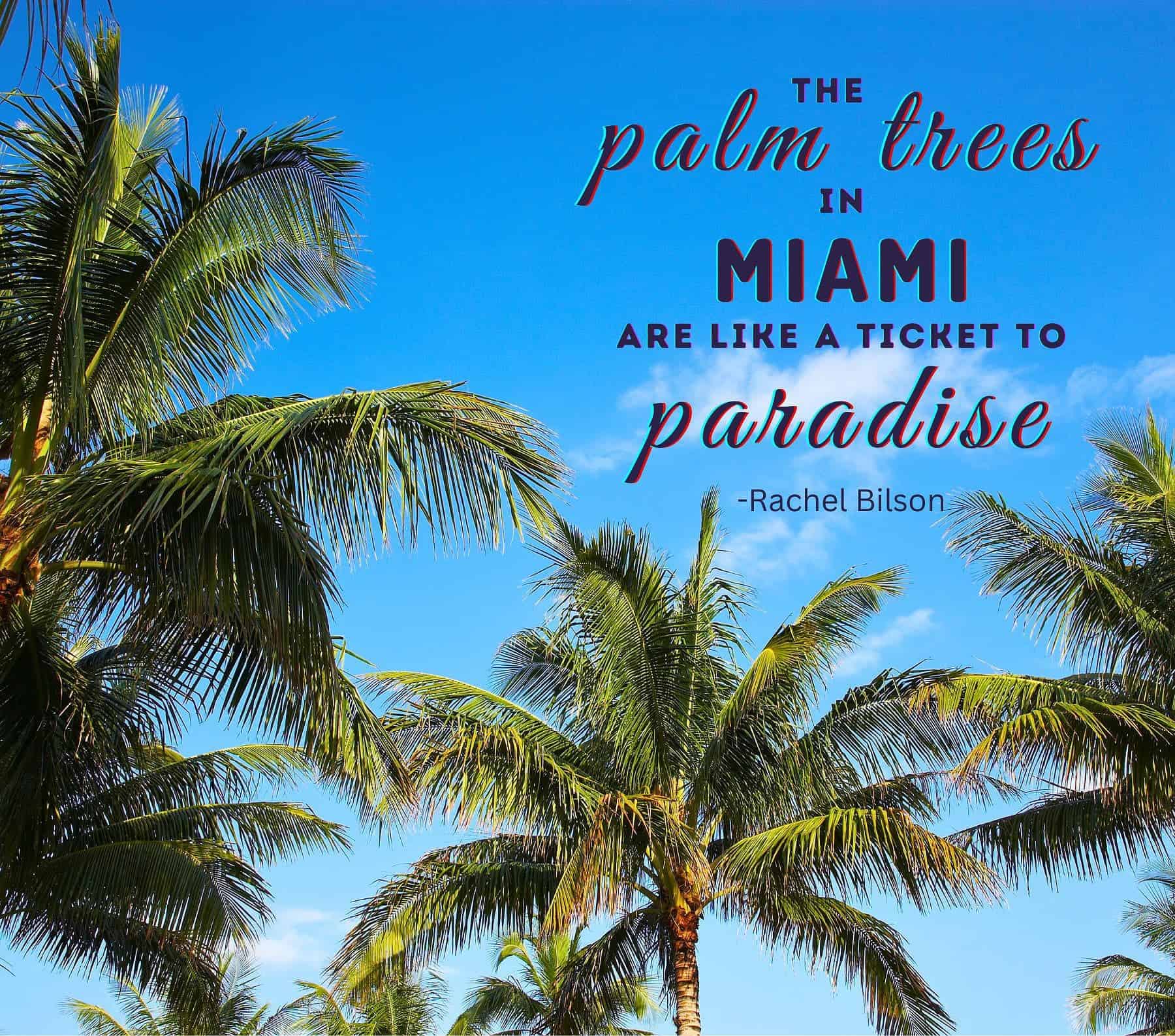 Miami Quotes for Instagram. The palm trees in Miami are like a ticket to paradise.