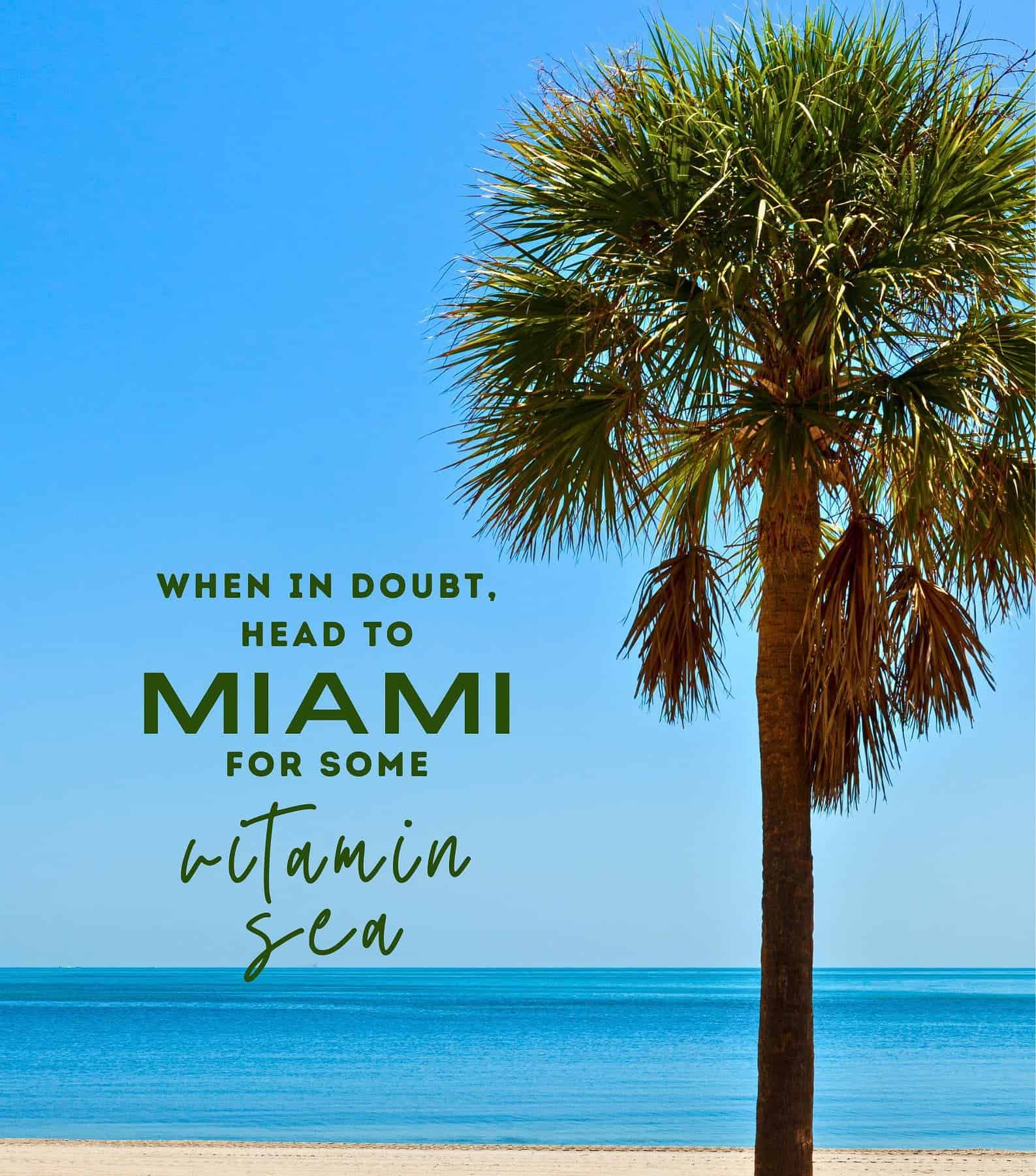 Miami Photo Captions. When in doubt, head to Miami for some vitamin sea.