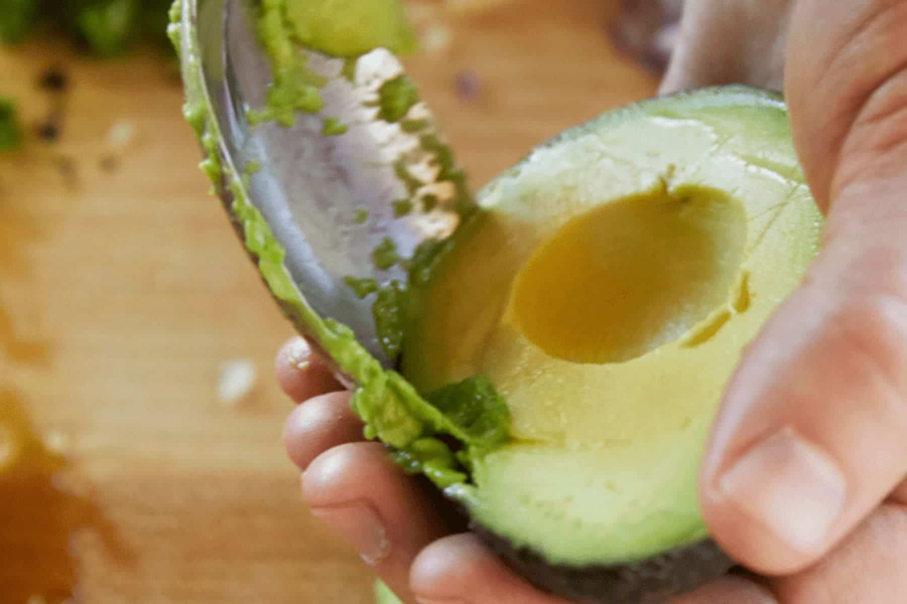 miraval-arizona-resort-and-spa-tucson-arizona-avocado