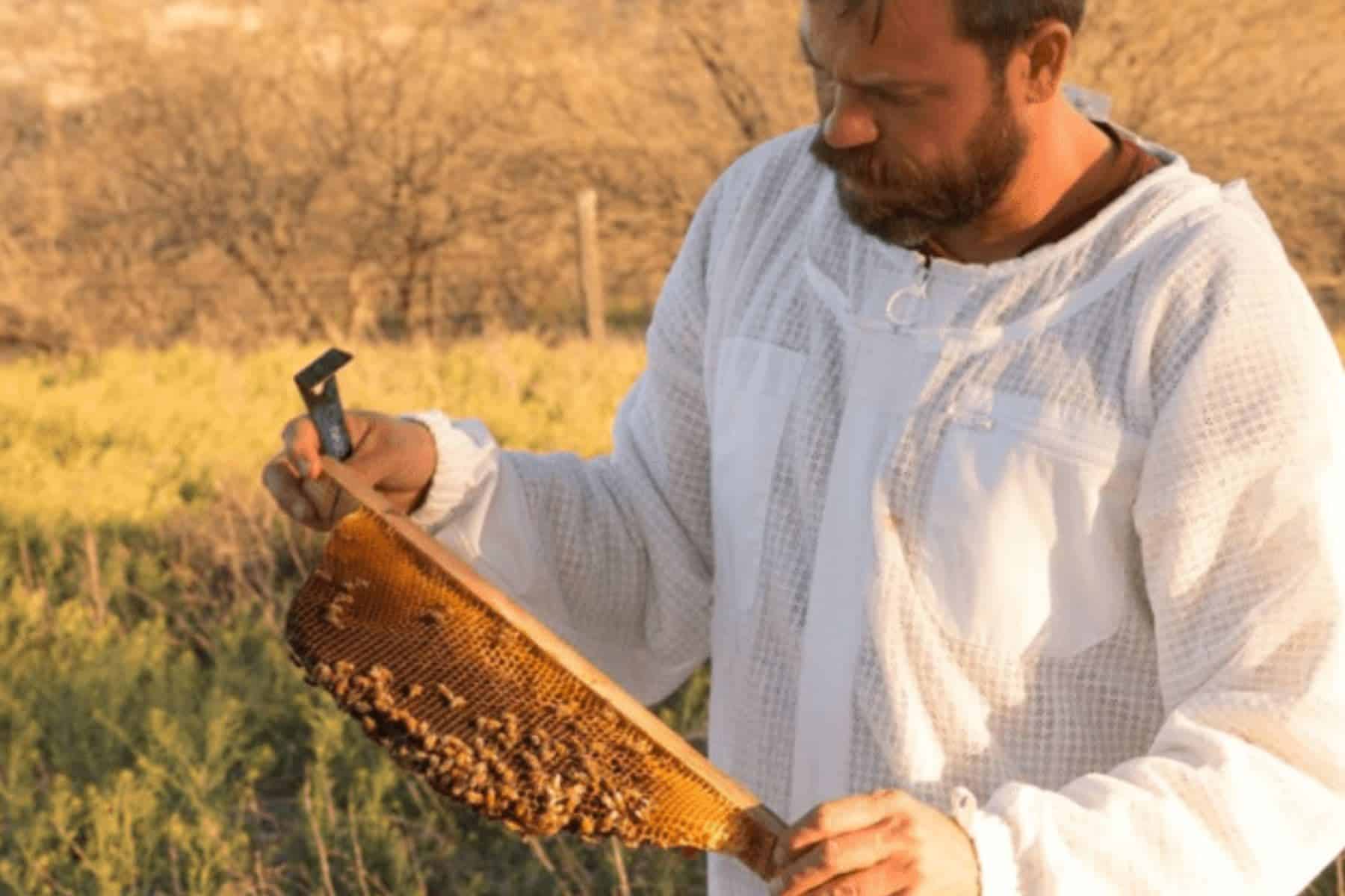 miraval-arizona-resort-and-spa-tucson-arizona-honey