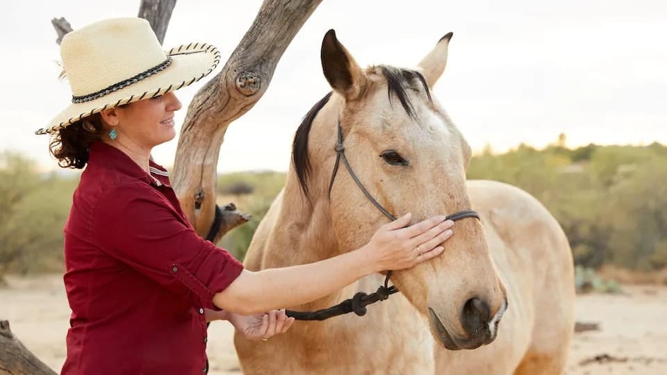 miraval-austin-resort-and-spa-horse