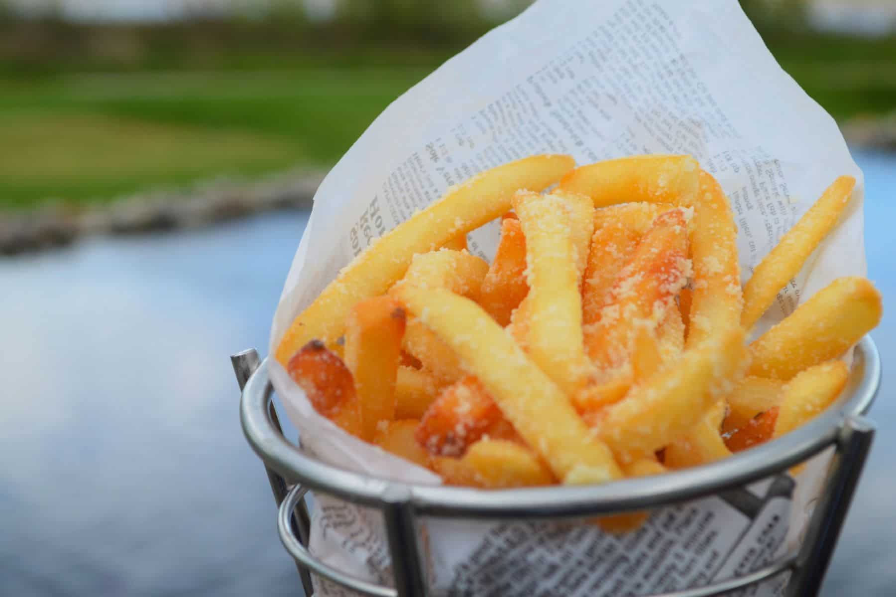 Mission Point Resort Fries