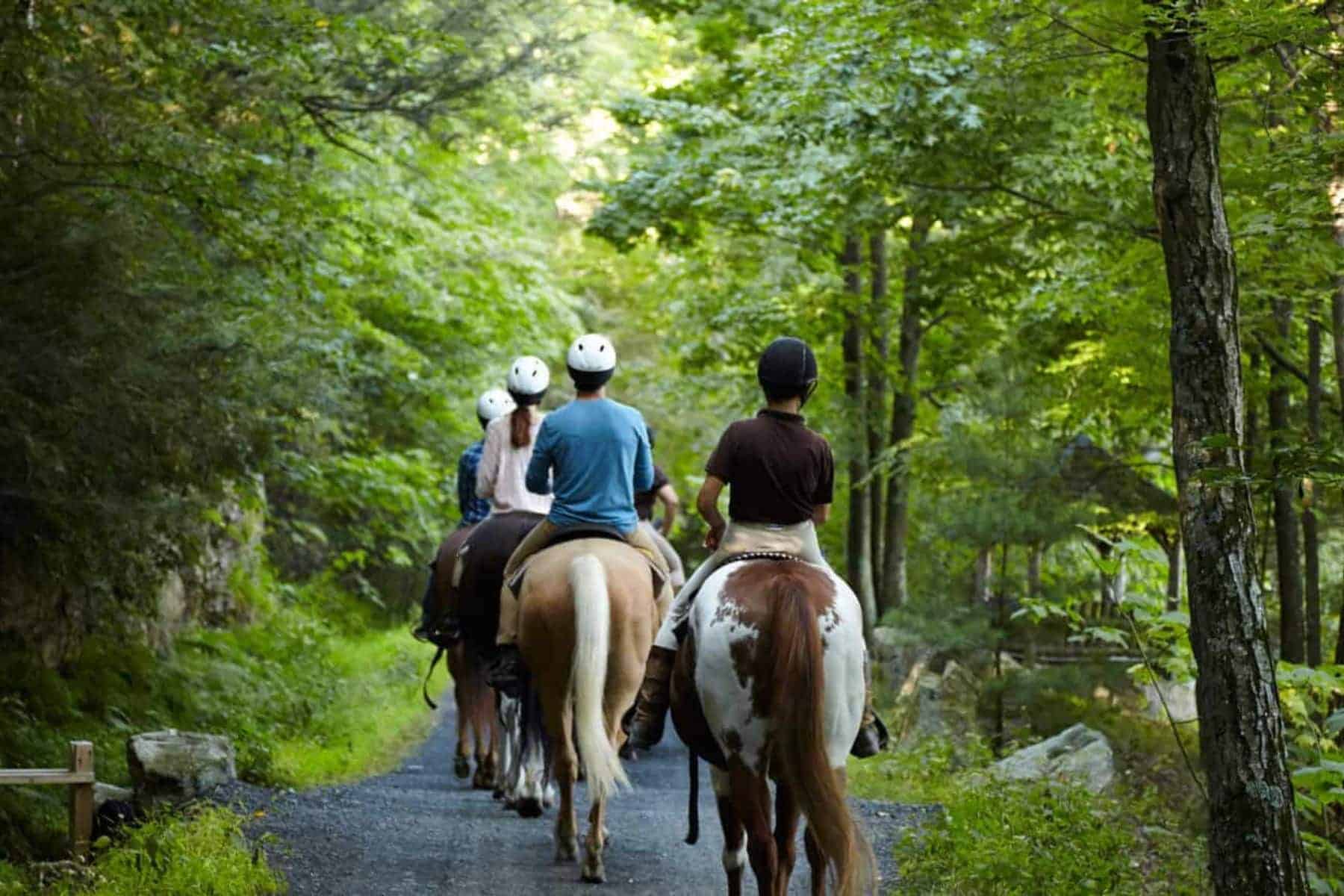 mohonk-mountain-house-new-paltz-new-york-horses