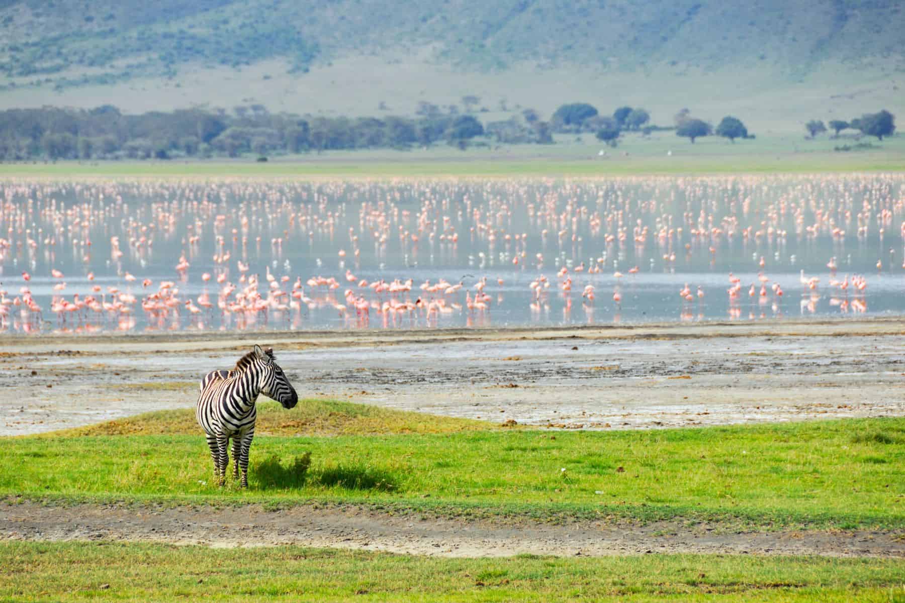 Ngorongoro Conservation Area