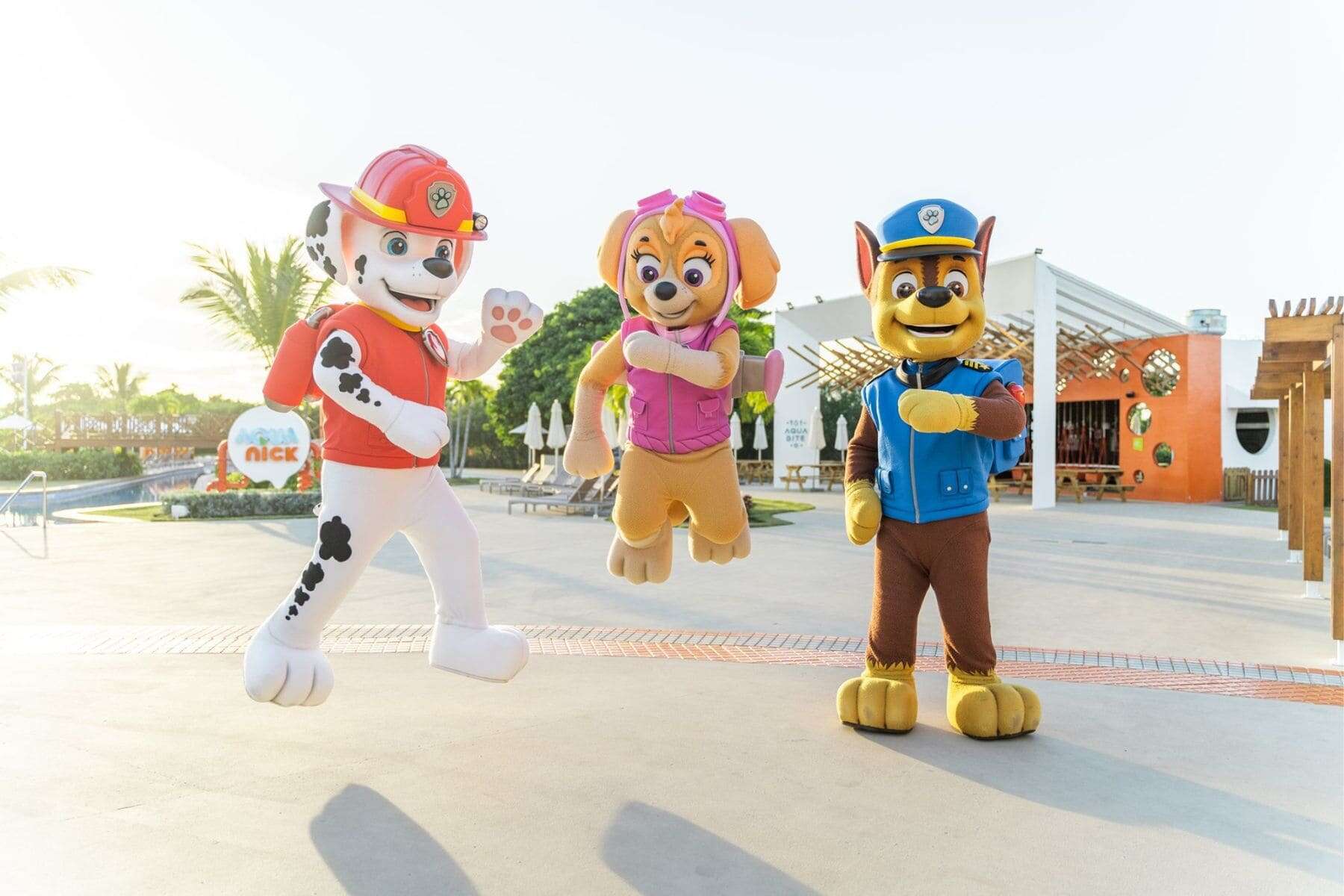 Nickelodeon Hotel Resort Paw Patrol