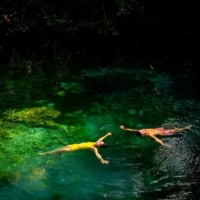 Dive Into A Refreshing And Beautiful Cenote