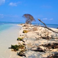 Pigeon Cay, Cat Island