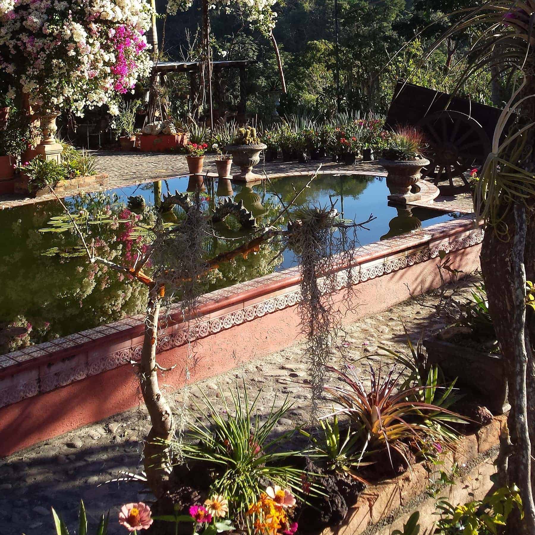 Puerto Vallarta Botanical Gardens