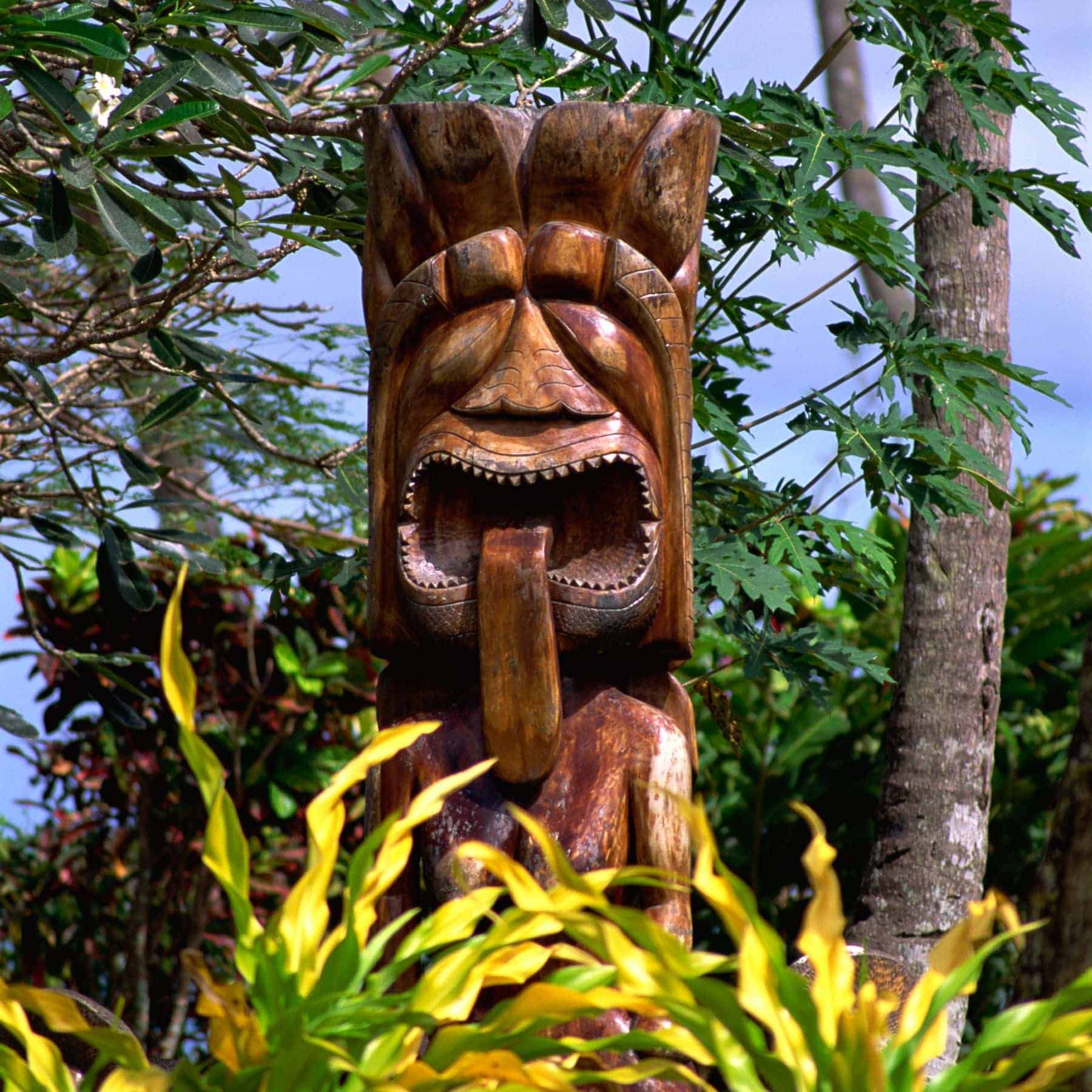 Resorts In Fiji Native