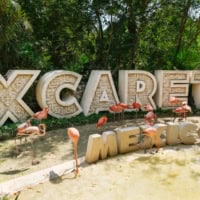 Spend The Day Exploring An Xcaret Park