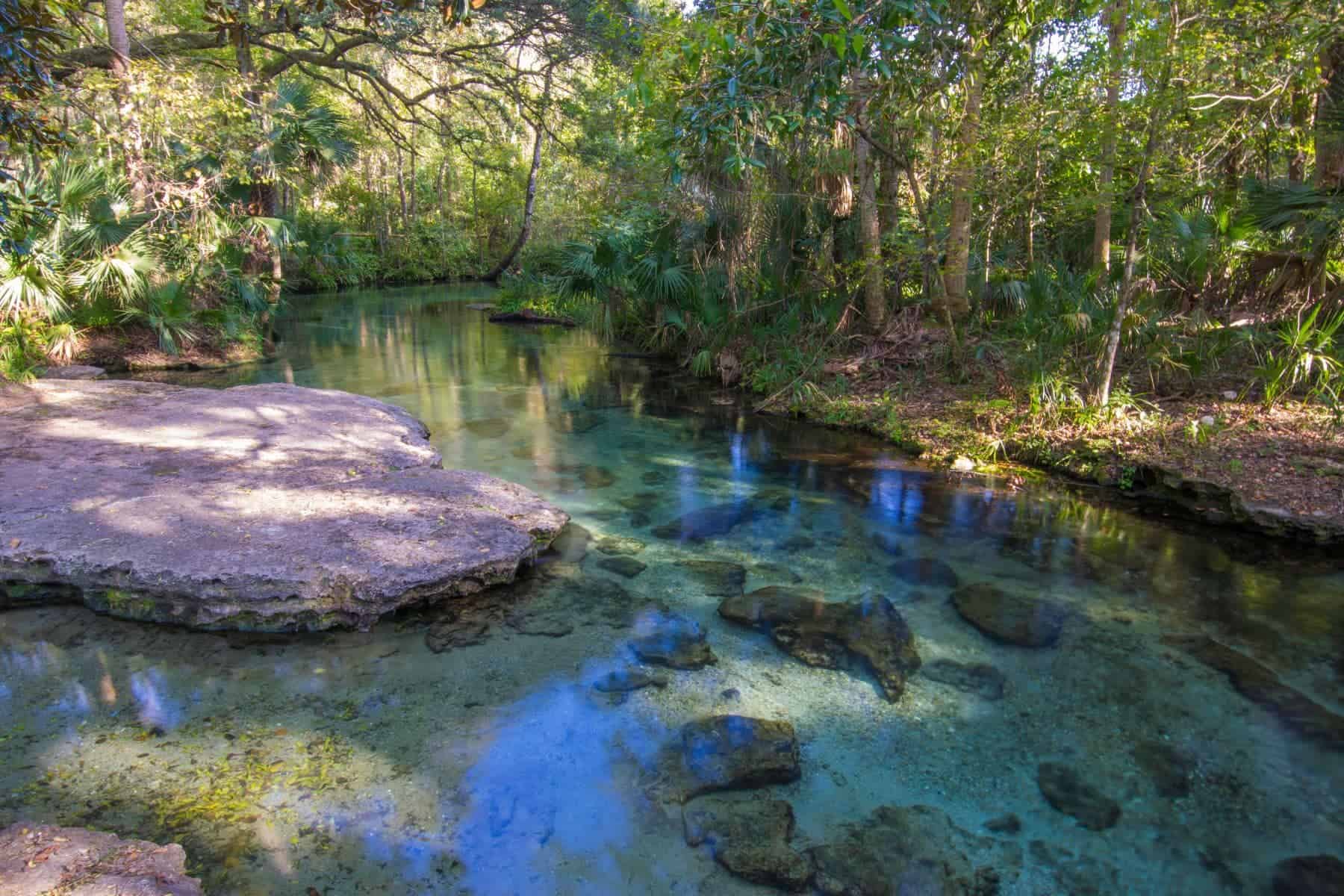 Why King’s Landing Florida Should Be on Your Radar