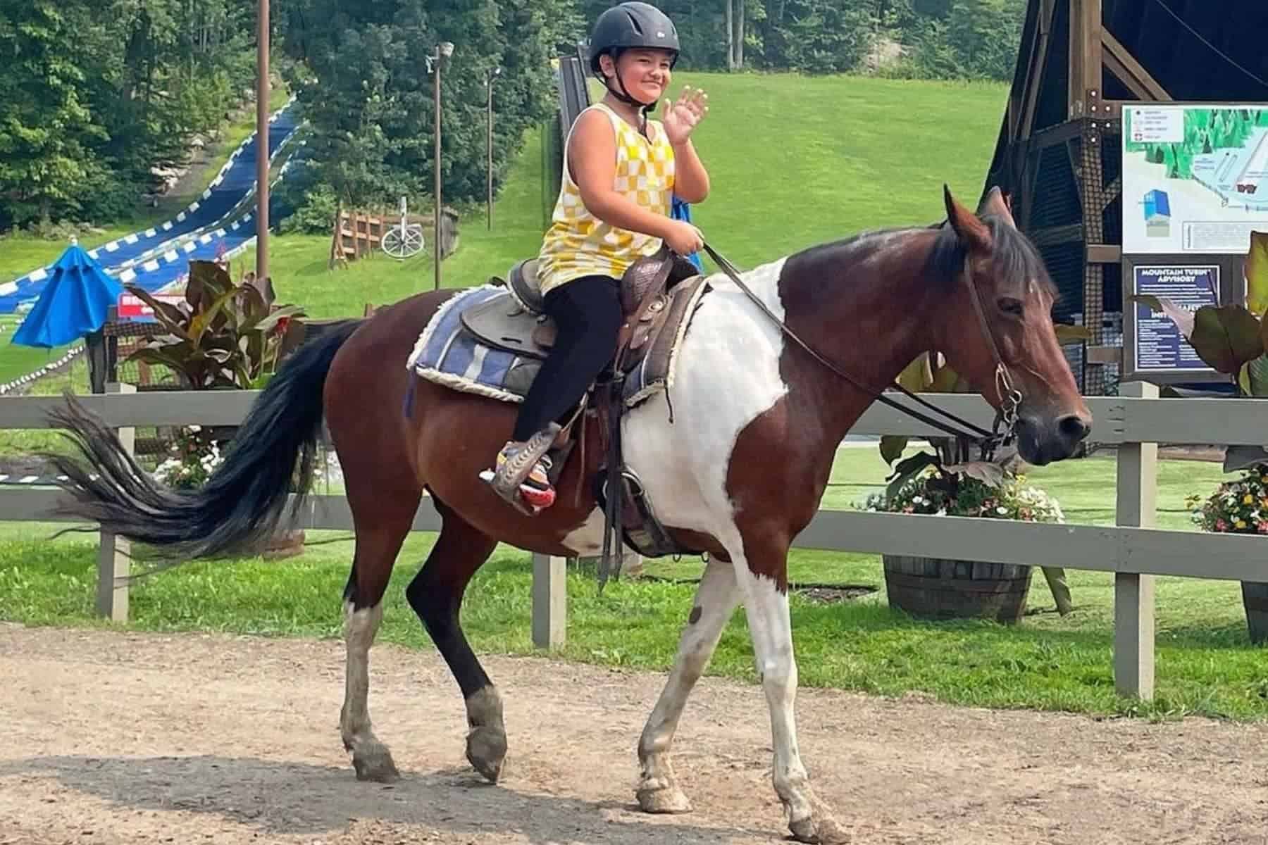 Rocking Horse Ranch Highland Ny Horse