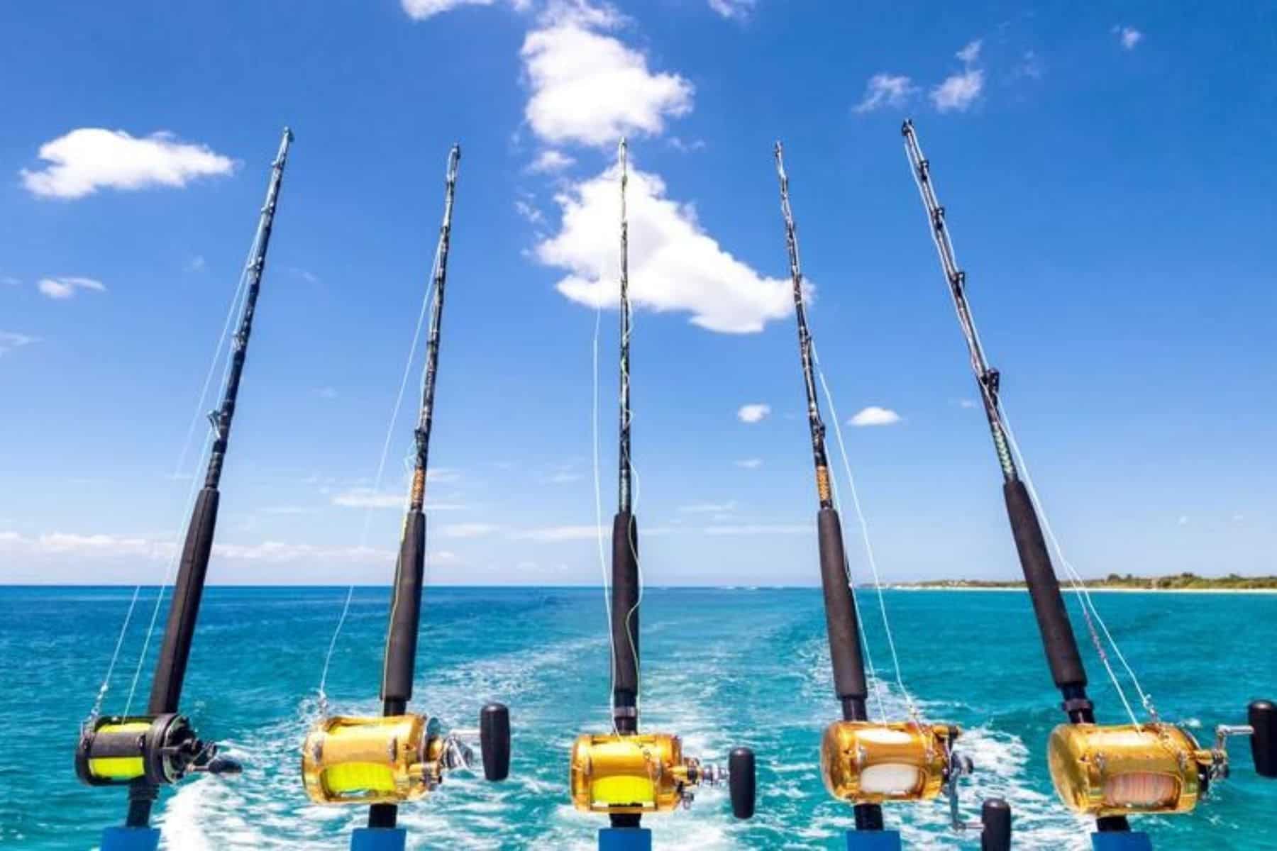 Rod Rentals And Bait