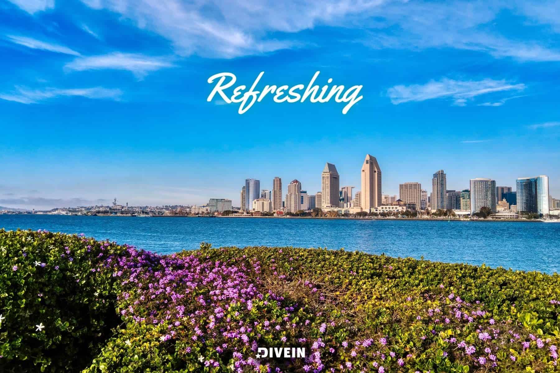 one word san diego instagram captions