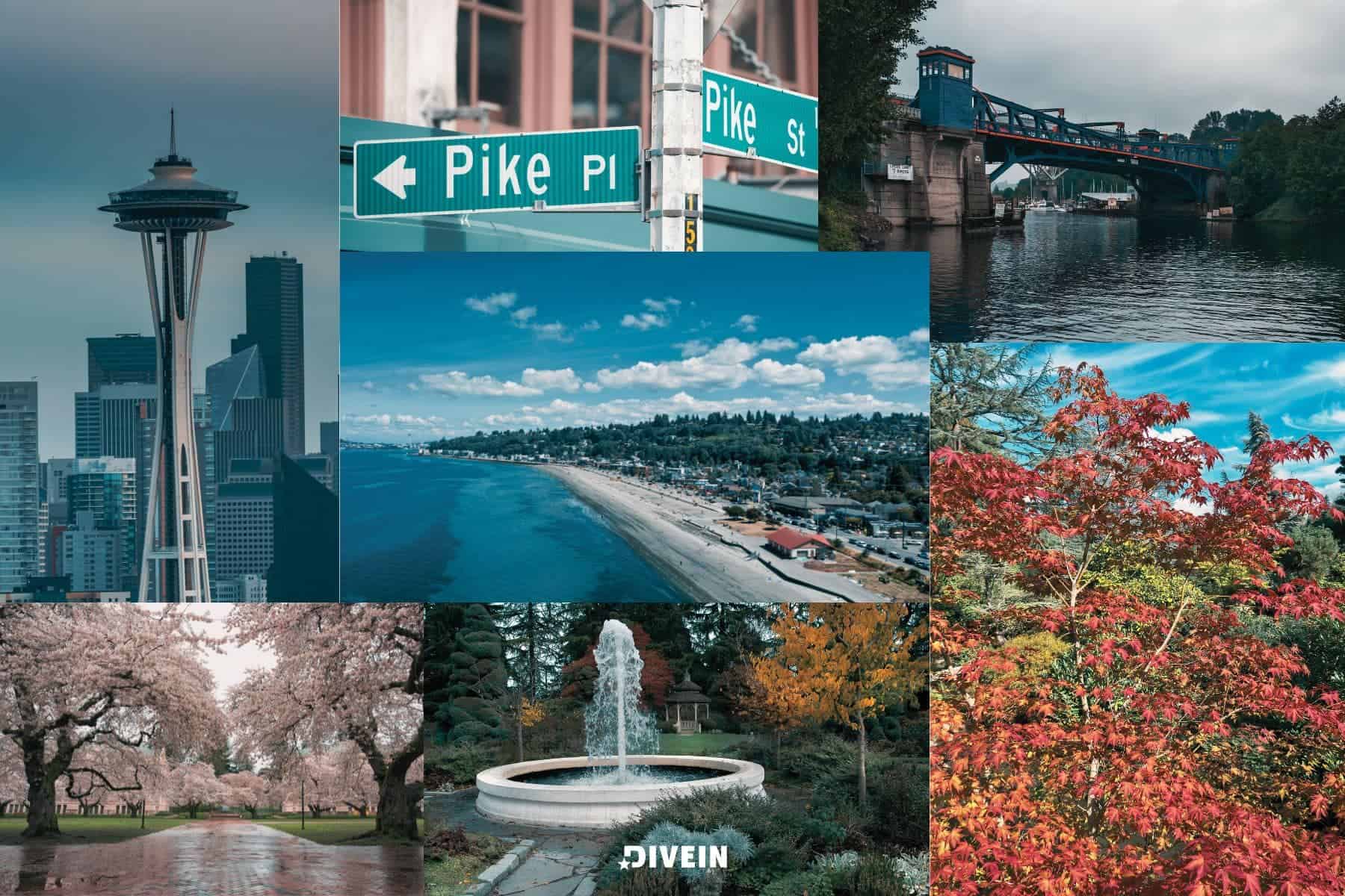 Seattle Quotes & Captions