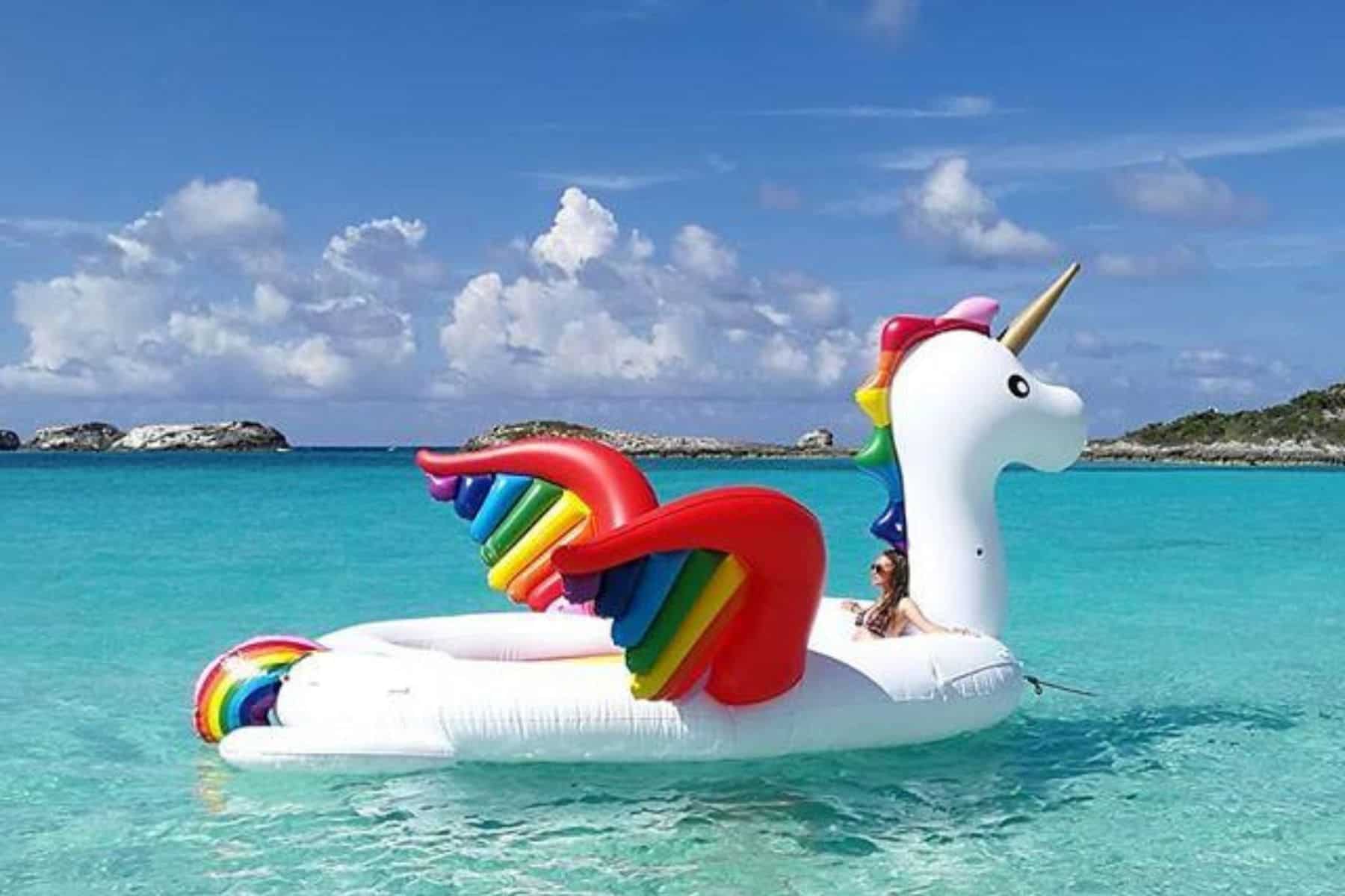 Sun Bathing With Unicorn