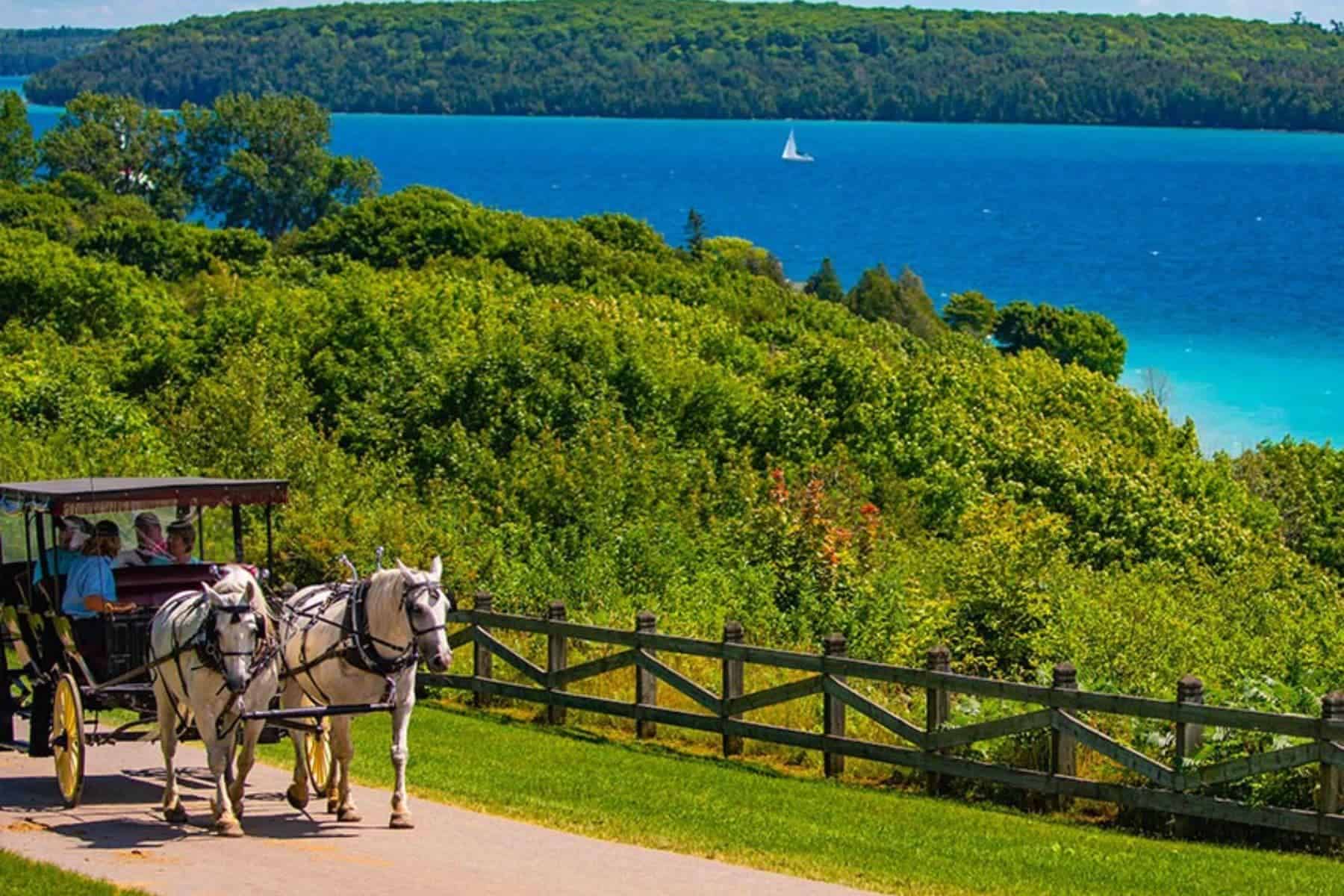 the-hotel-iroquois-horses